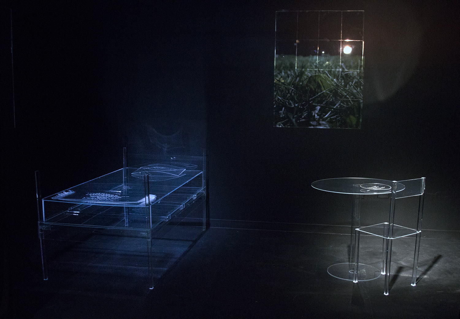 A view of one of the rooms in the installation. 