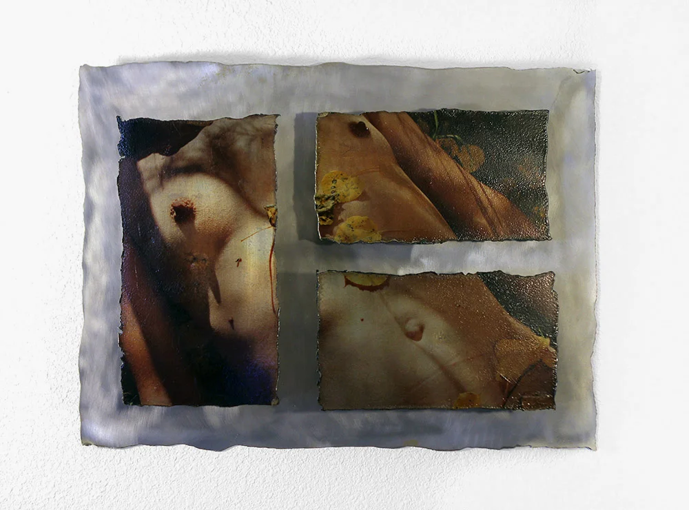 Divided . Steel, Image Transfer. 35" x 25" x 8." 2011.