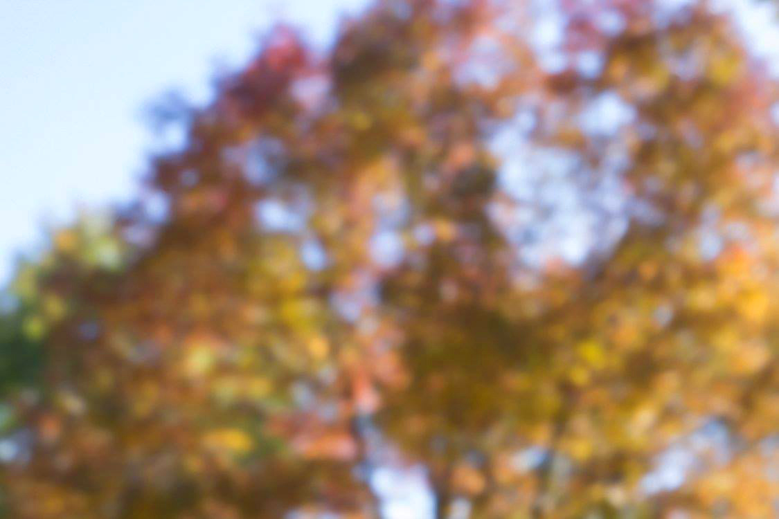 A wider digital pinhole shot. Exposure approximately 3 seconds.