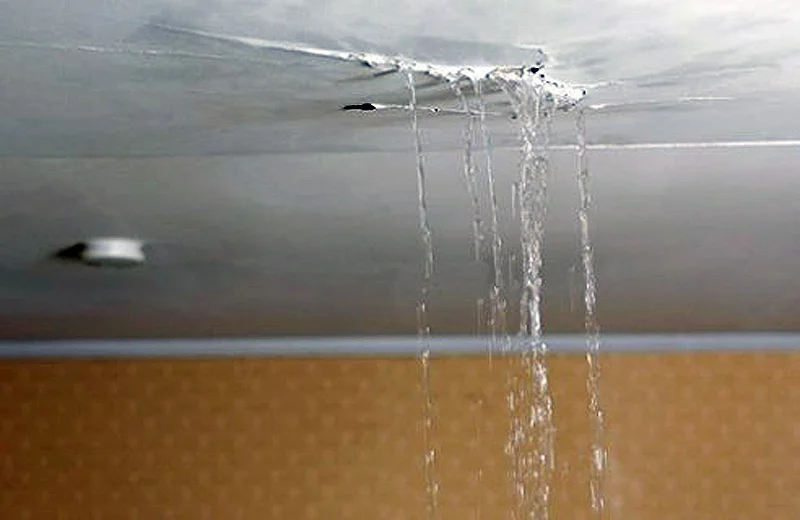cealing leak
