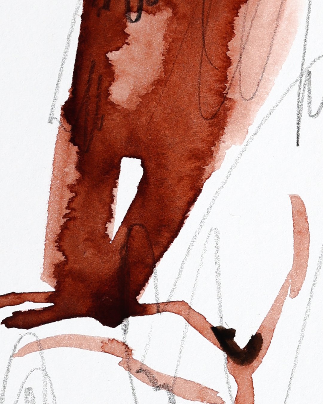 2025_Figure_Crop_FullRez-31_1350_2.jpg
