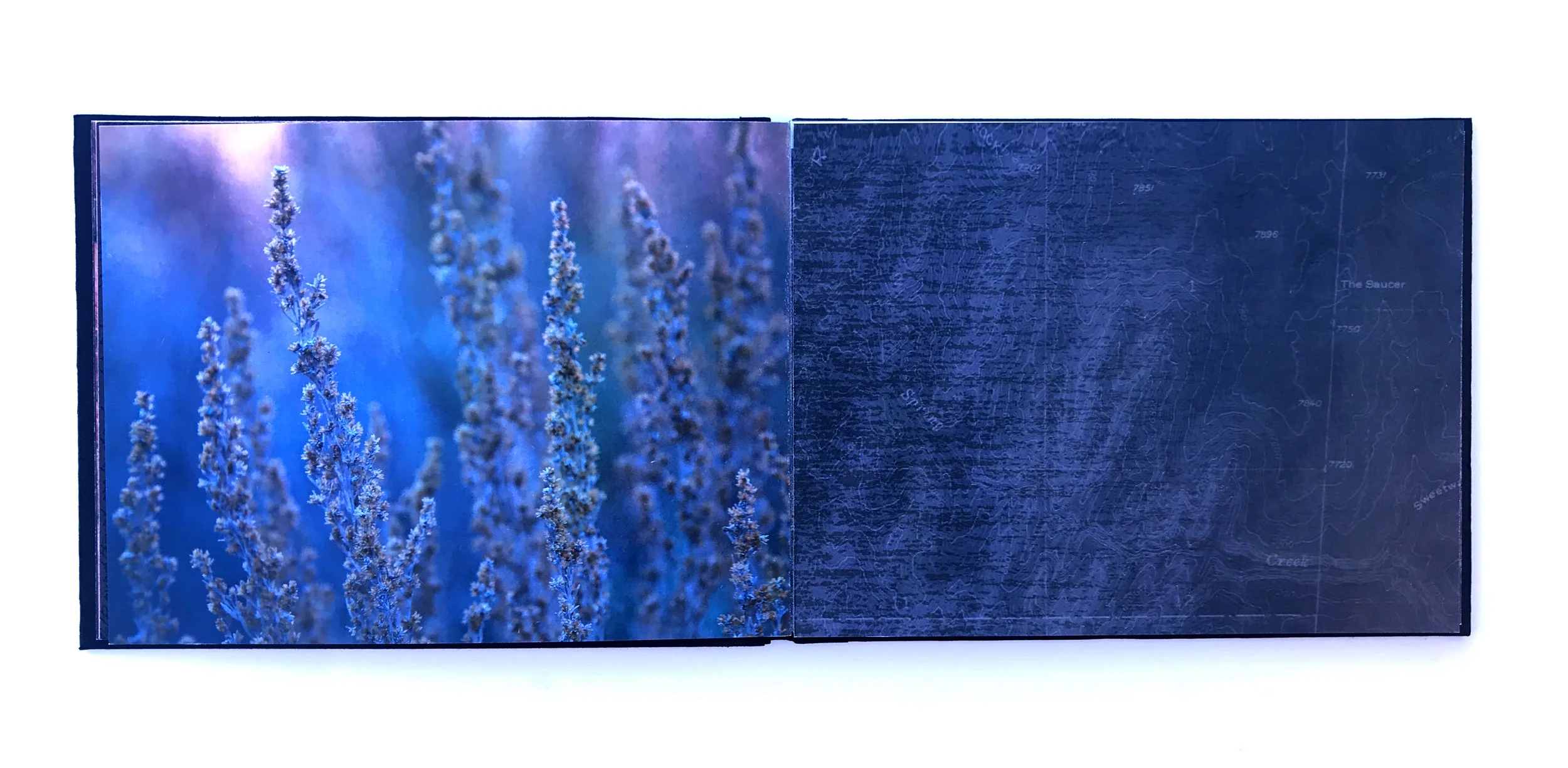 Spring Creek, Interior Spread