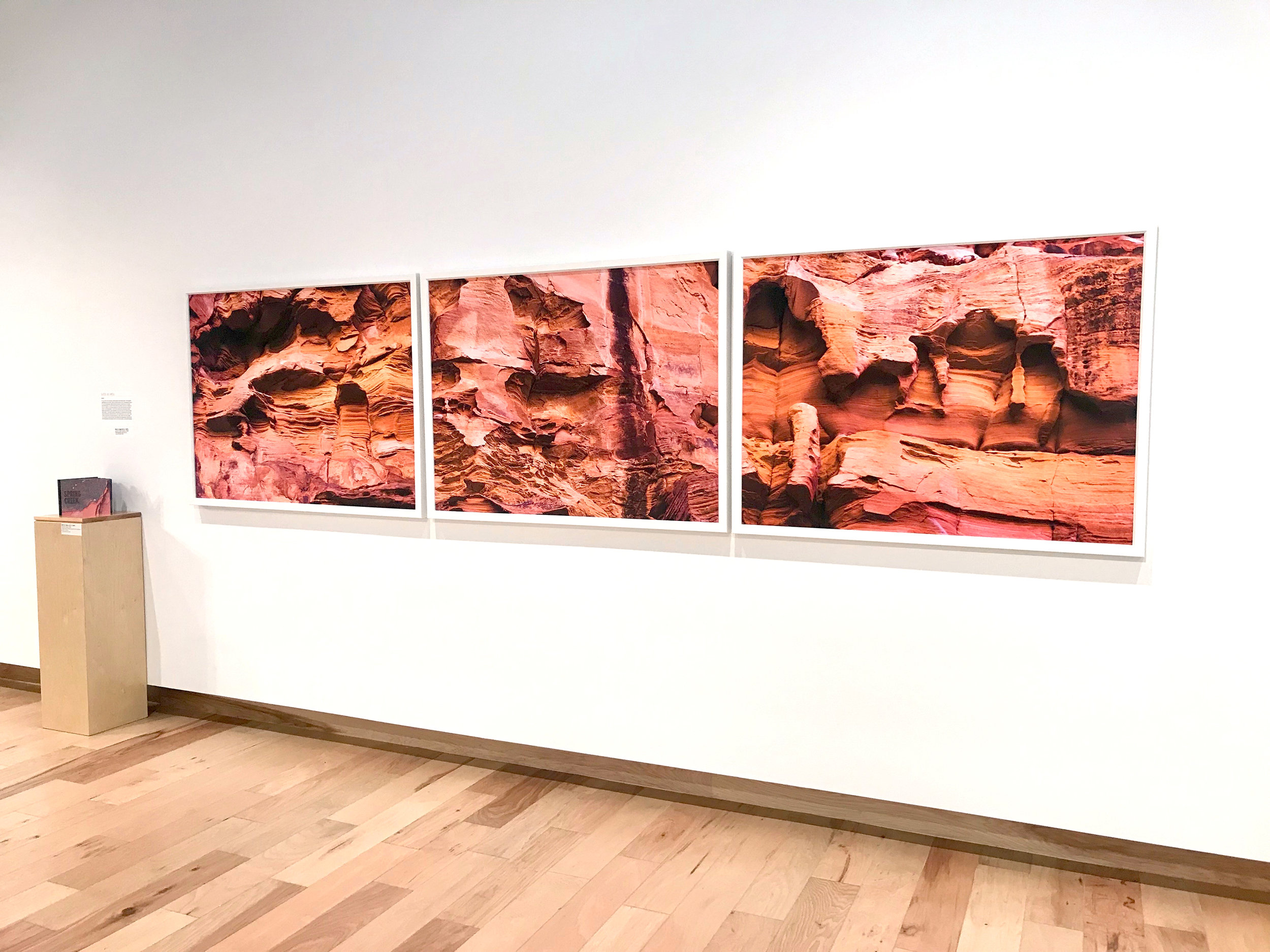 Impact Exhibition at Southern Utah Museum of Art, 2019