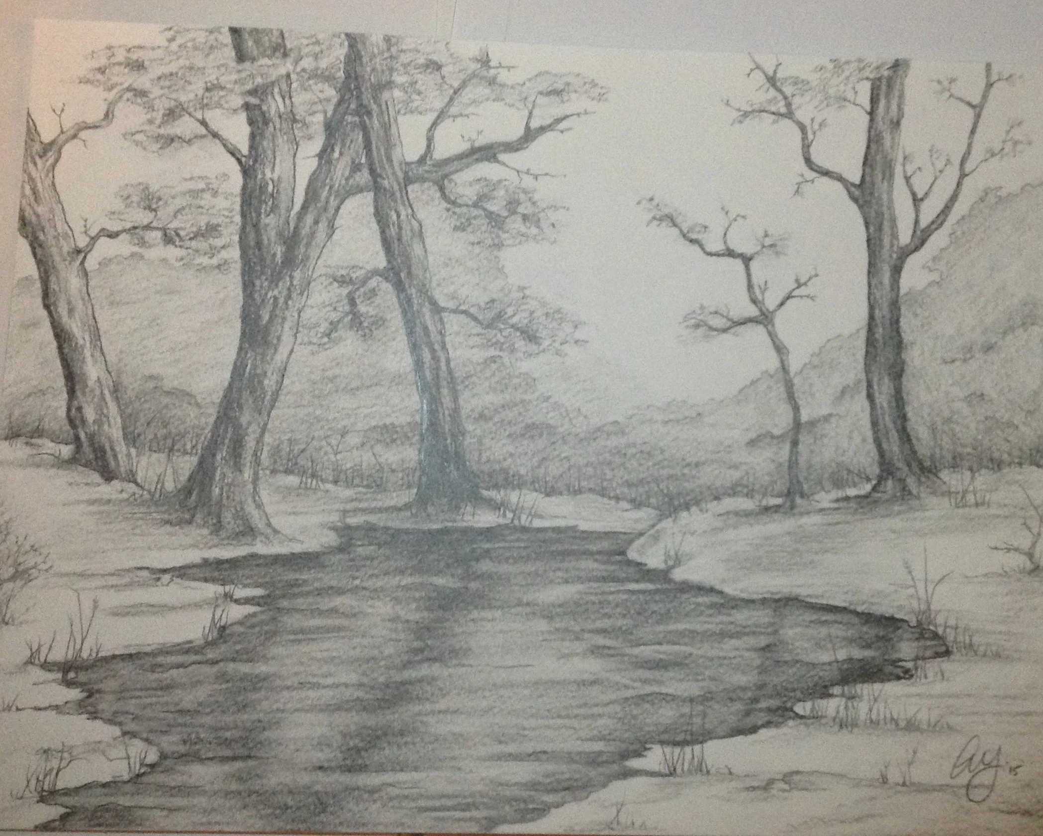 woodlands sketch