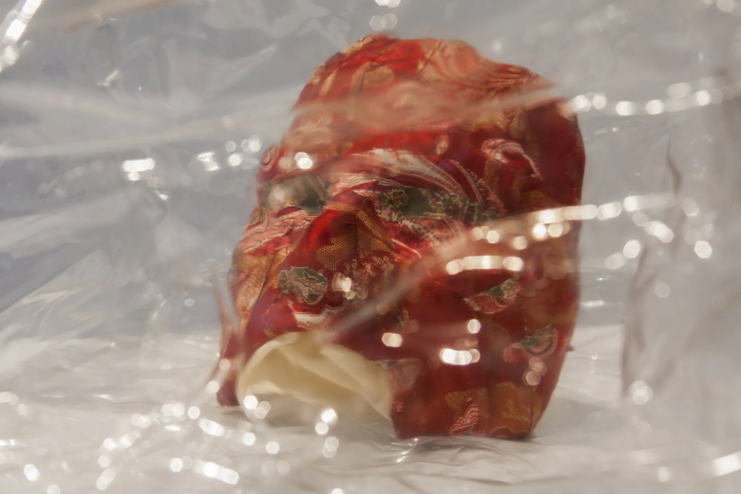 Life In The cul-de-sac / 2015