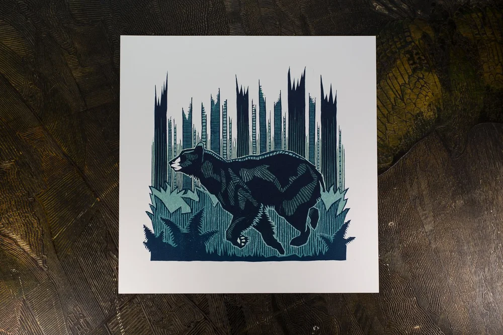 Bear Art Studio X