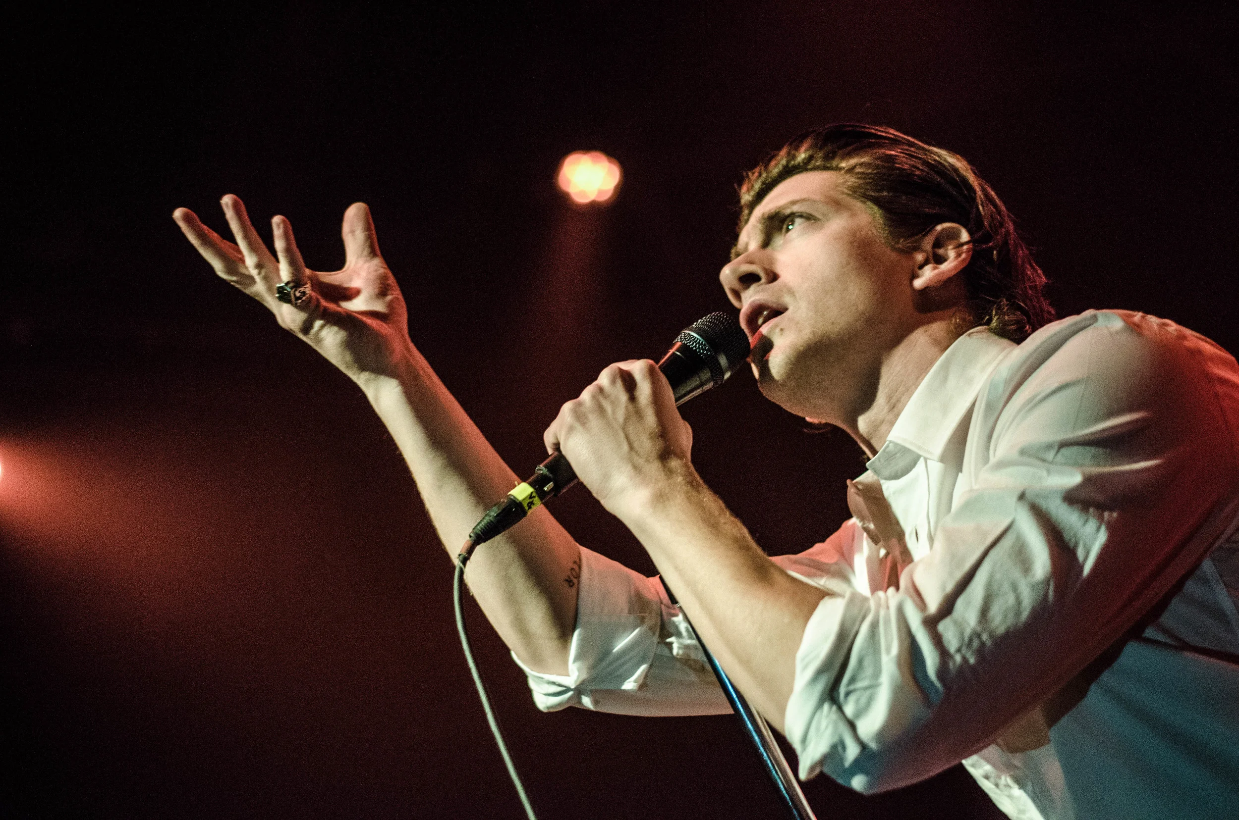 TLSP_large_nw-11.jpg