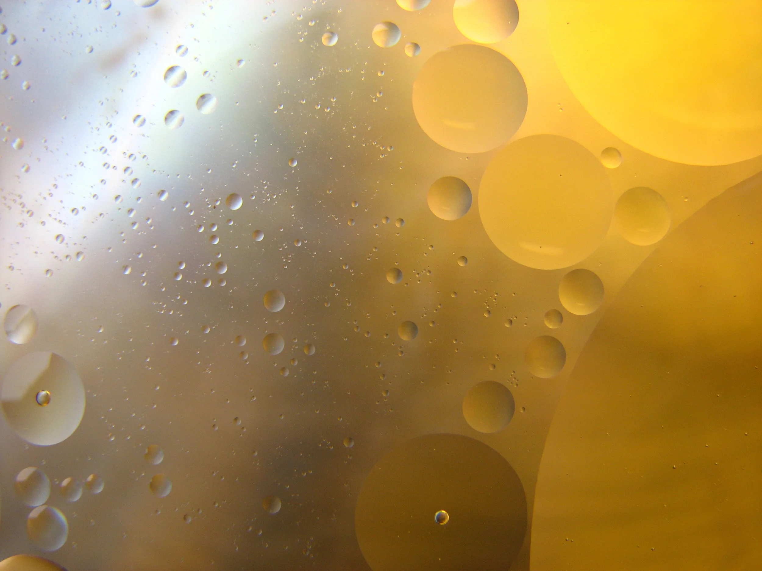 WHAT IS HIGH OLEIC SUNFLOWER OIL?