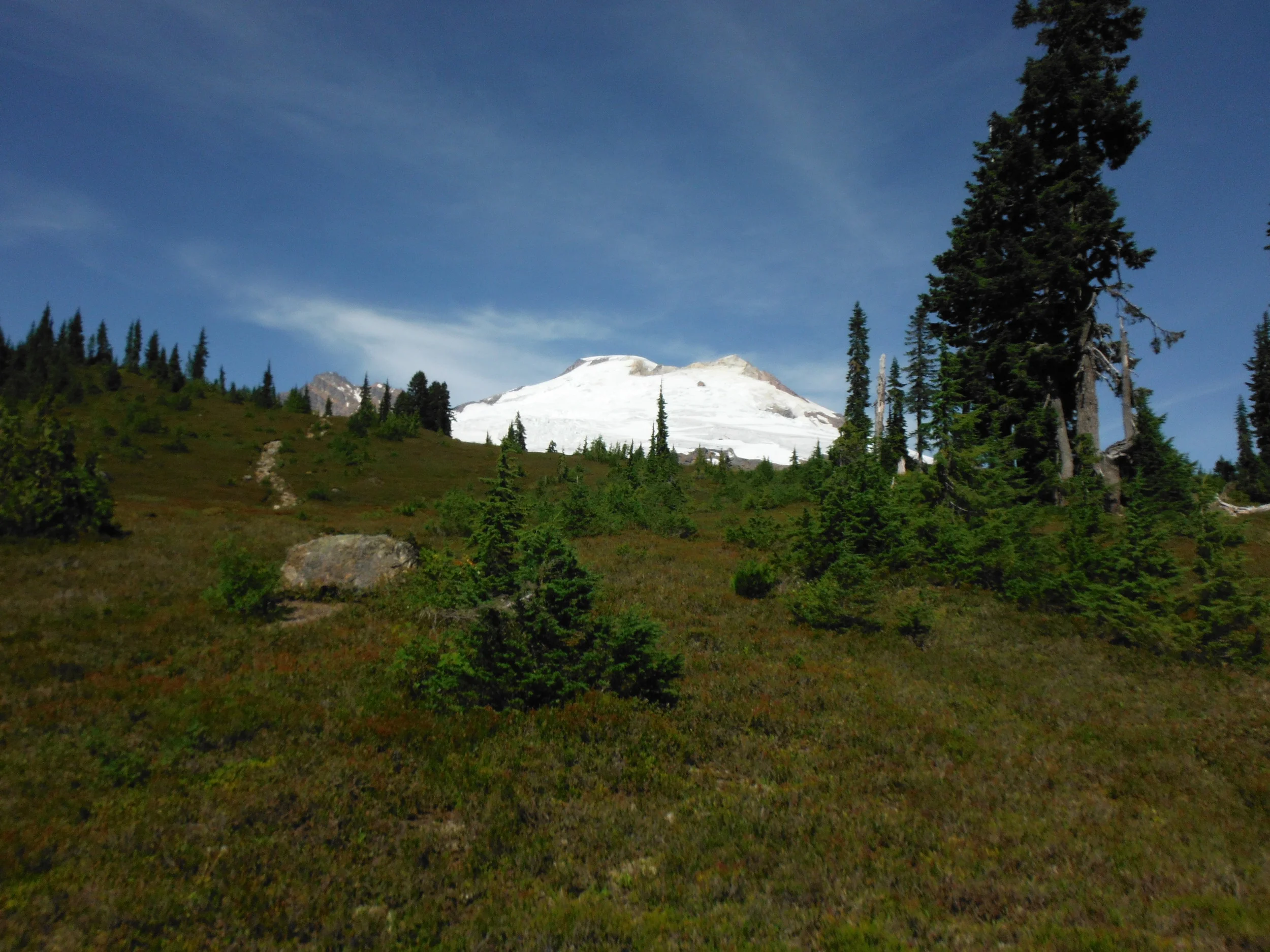 Schreibers Meadow 024.JPG