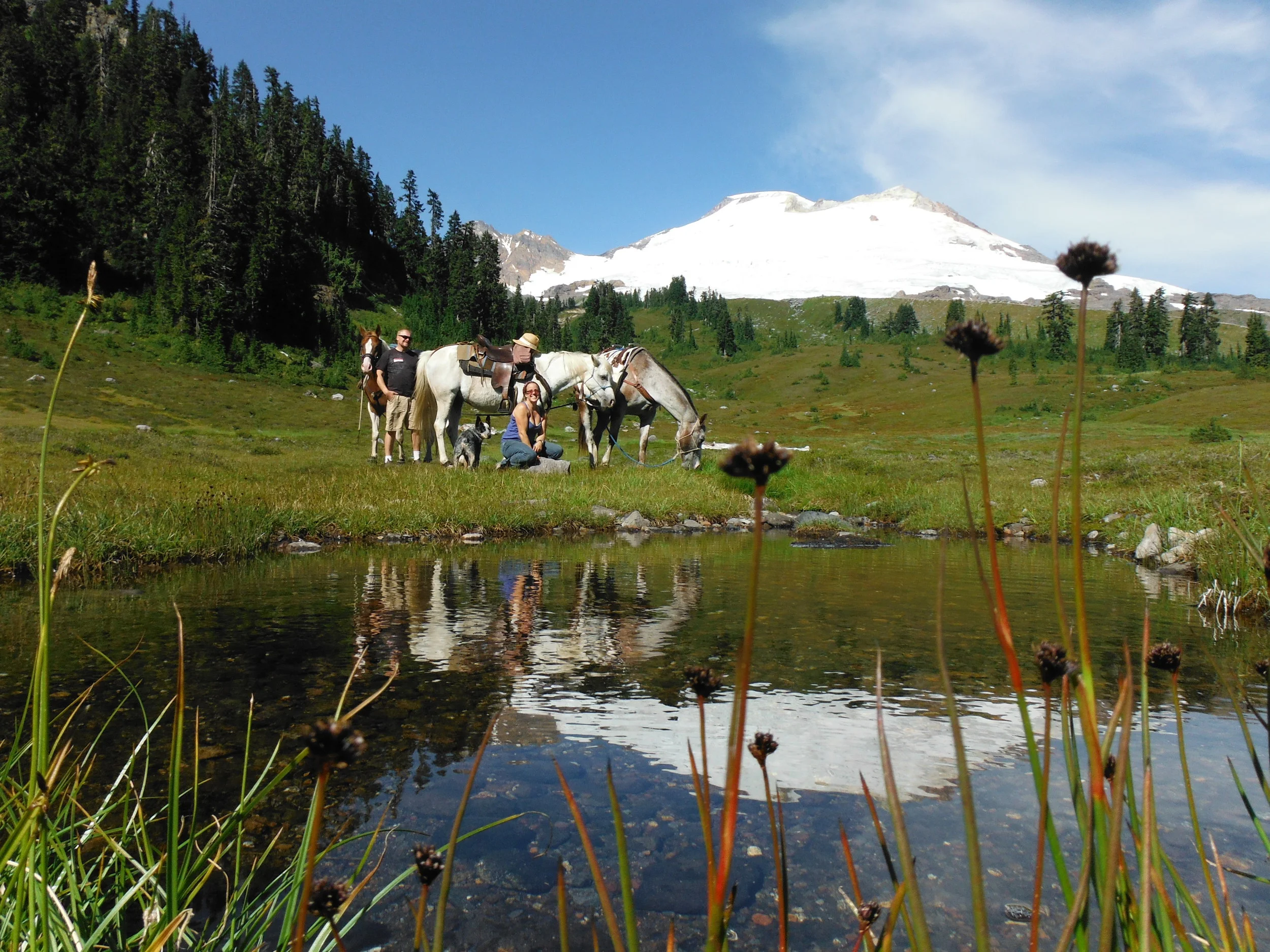 Schreibers Meadow 025.JPG