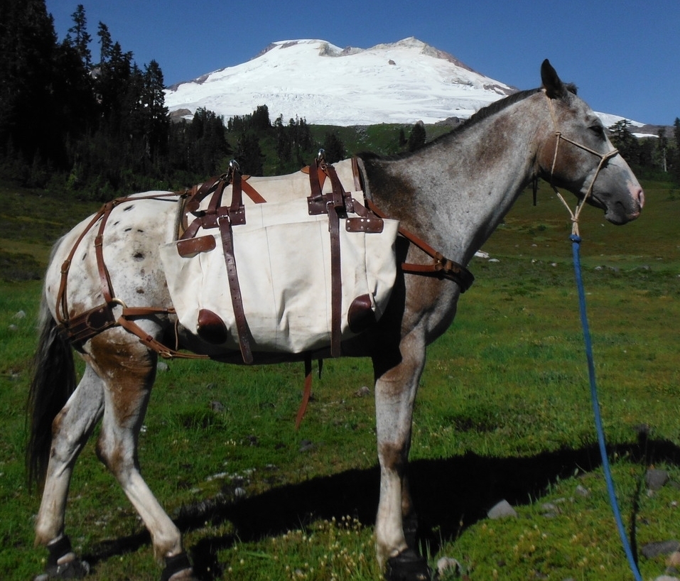 Schreibers Meadow 042.JPG