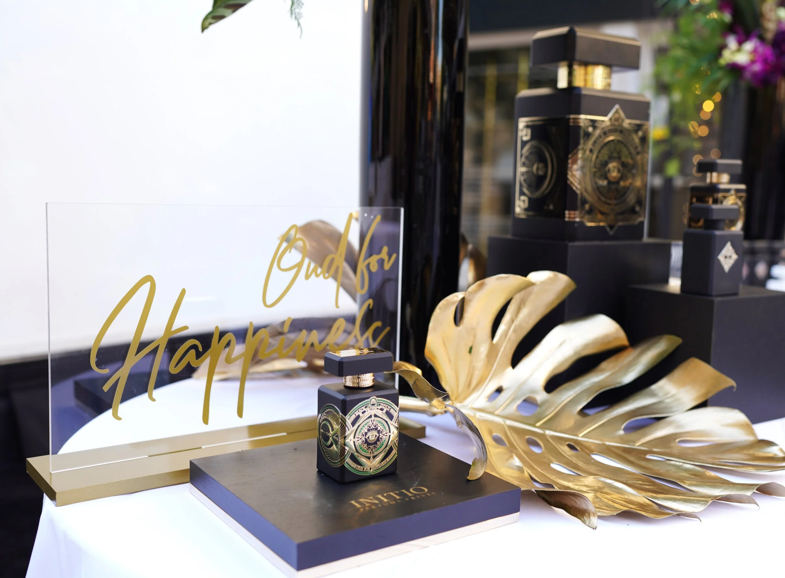 Modern Luxury Presents Fresh Faces of Fashion - 03141.JPG