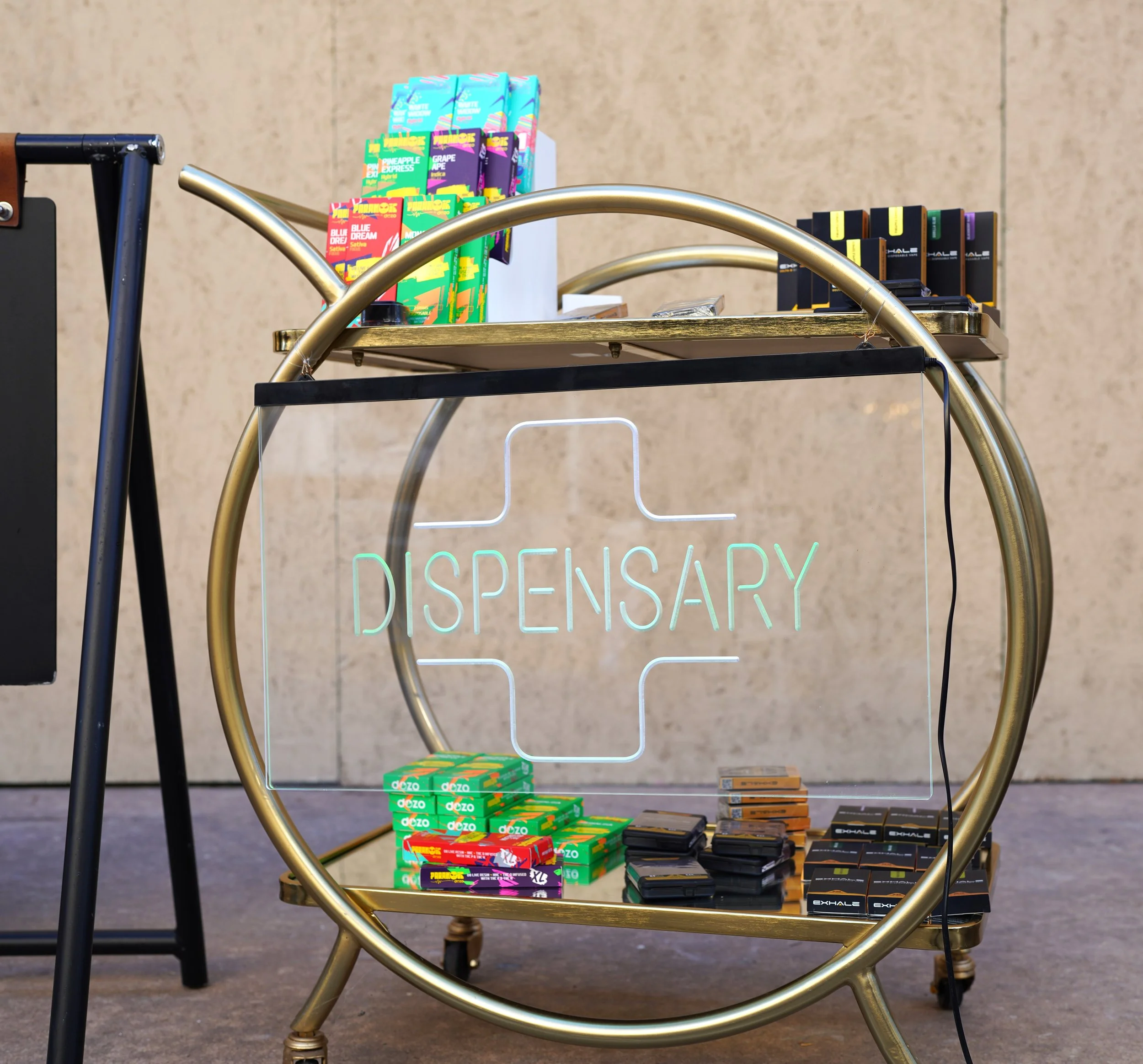 Modern Luxury Presents Fresh Faces of Fashion - 03284.JPG