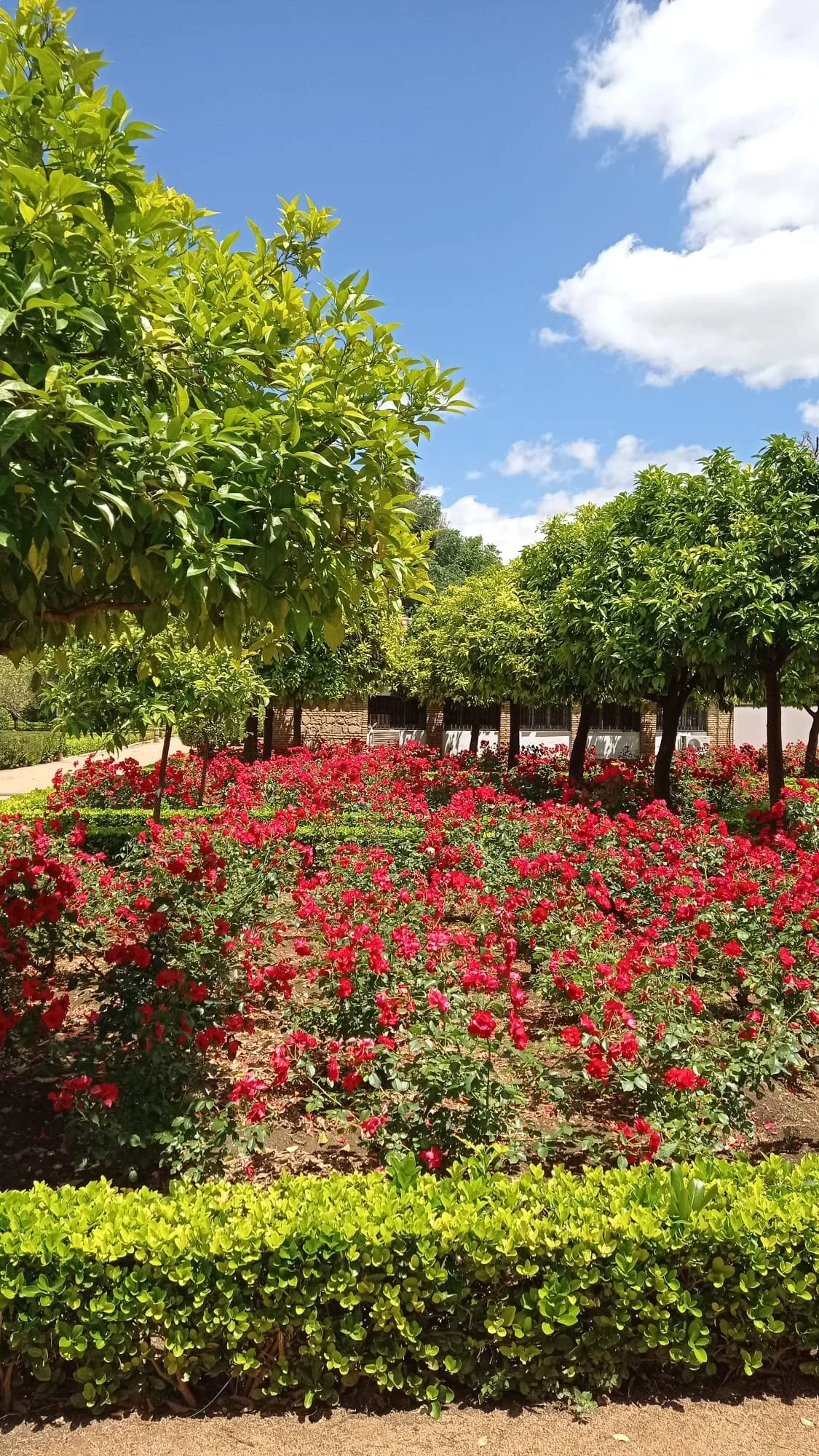 WhatsApp Image 2021-05-31 at 3.58.56 PM.jpeg