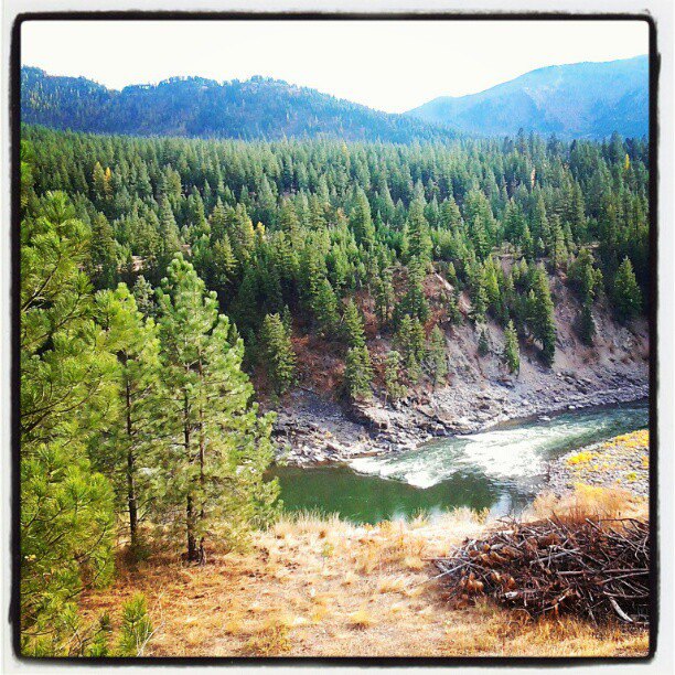 Alberton Gorge on the Clark Fork River | Montana