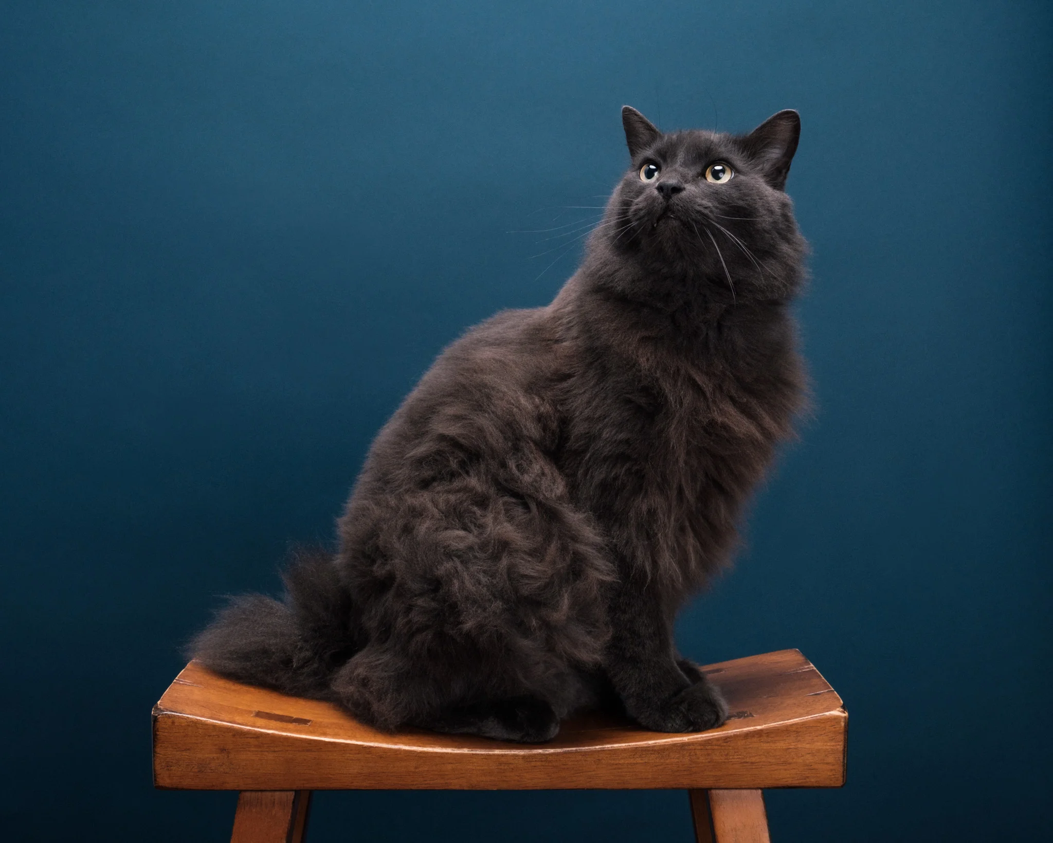 Fuji X-T20-review-sample-holly-v3-5.jpg