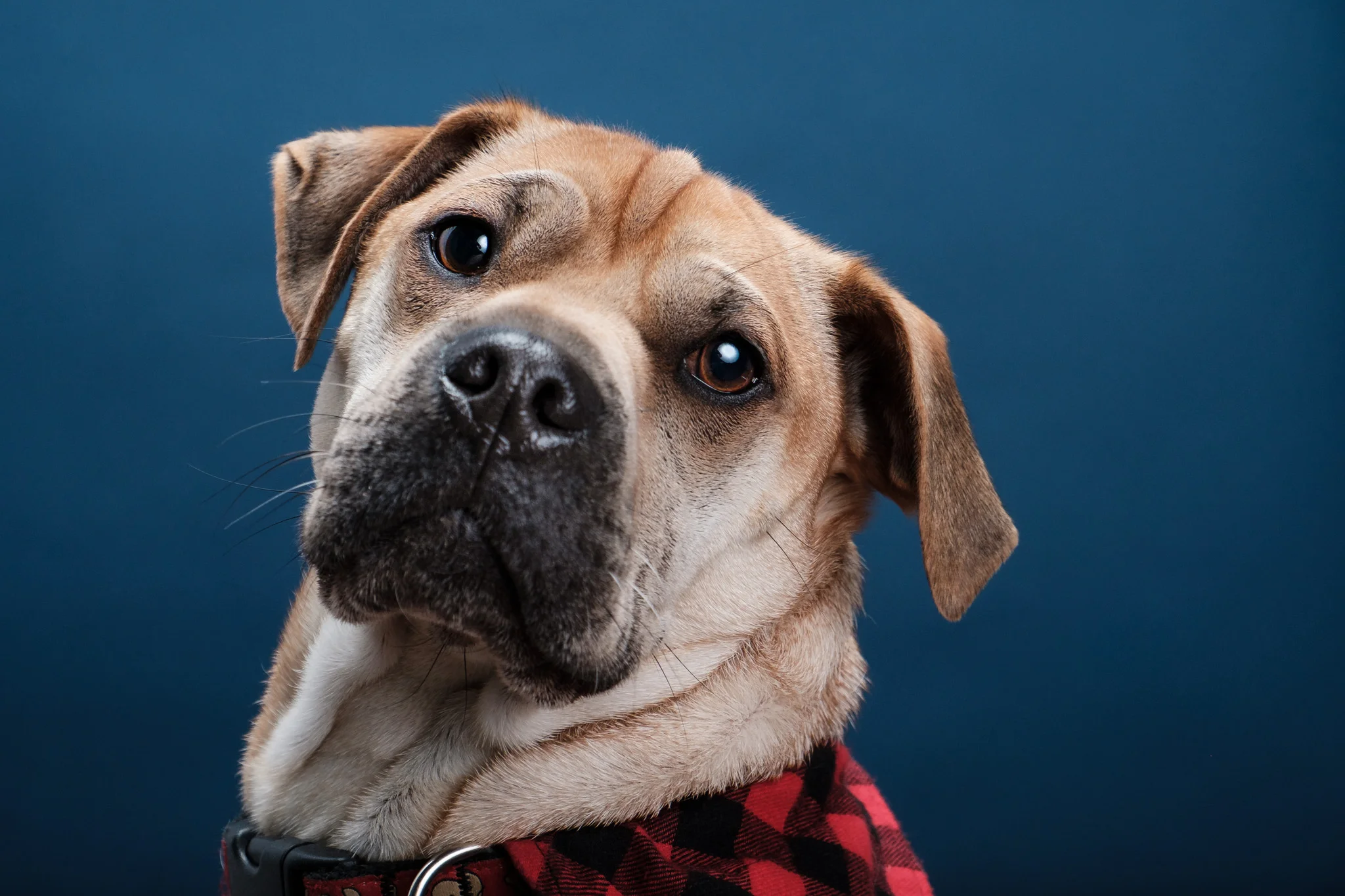 Fuji X-T20-review-sample-holly-v3-7.jpg