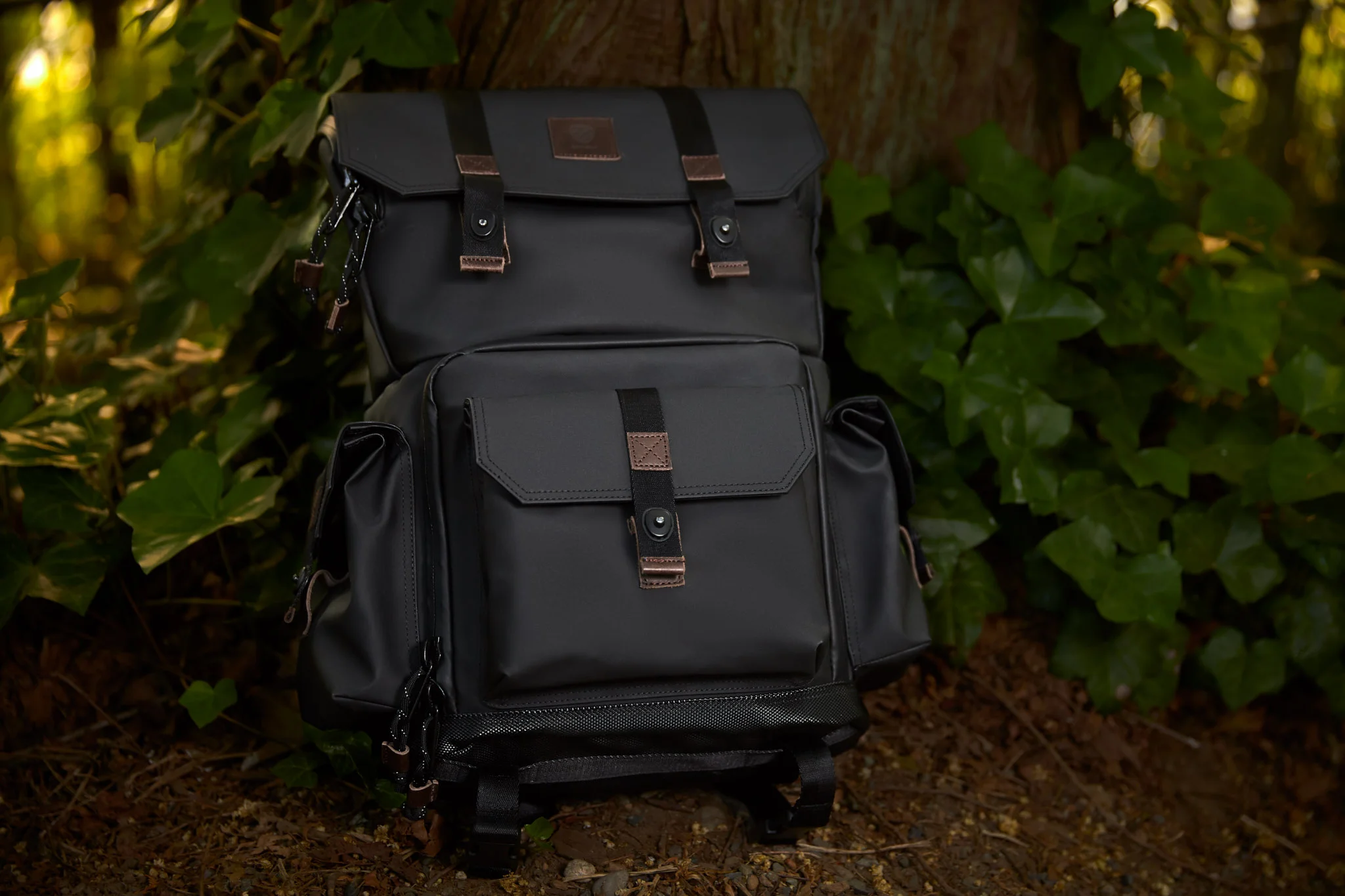 langly-alpha-globetrotter-camera-backpack-review-holly-roa 1.jpg