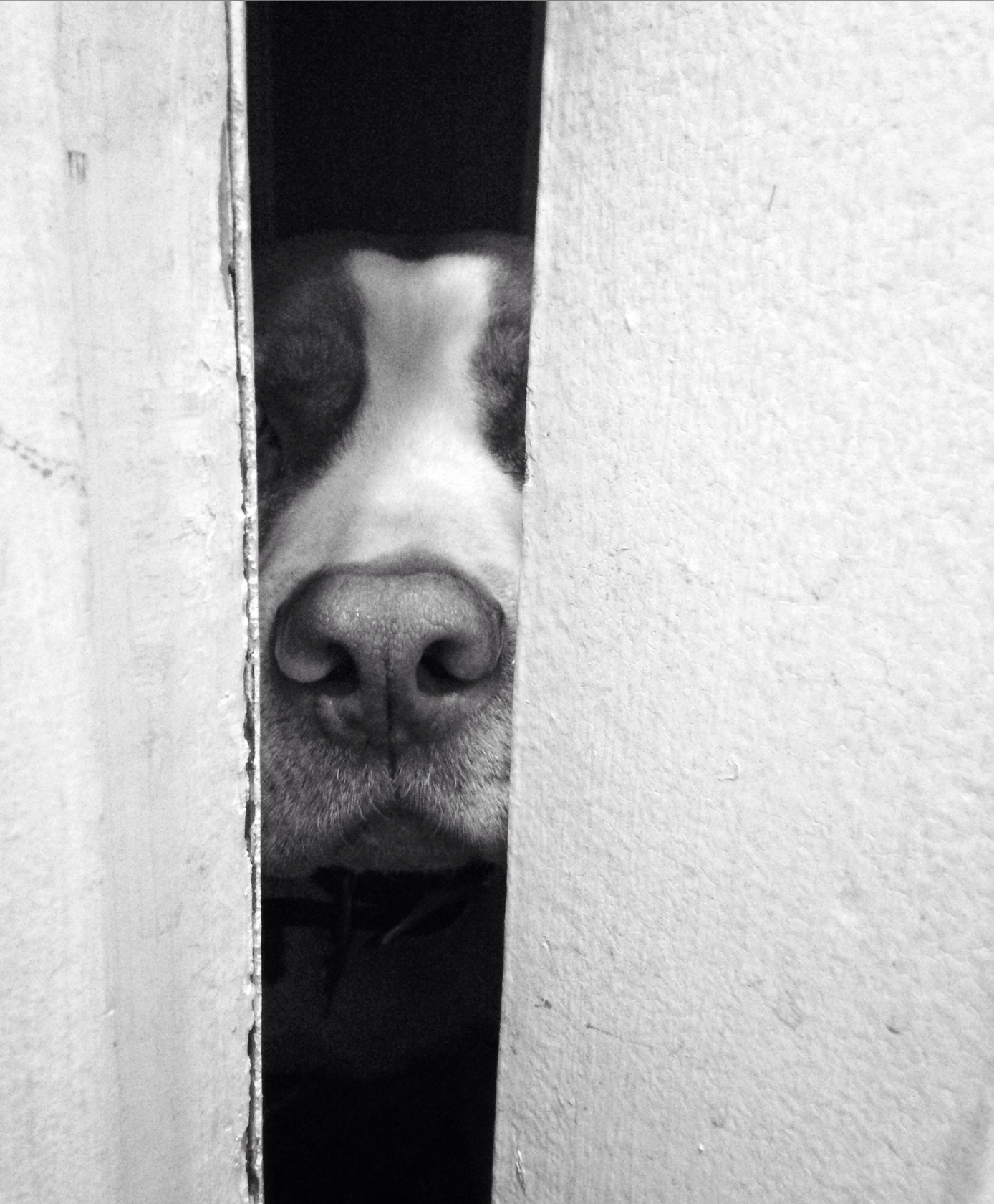 Screen Shot 2018-08-01 at 12.44.22 PM.png