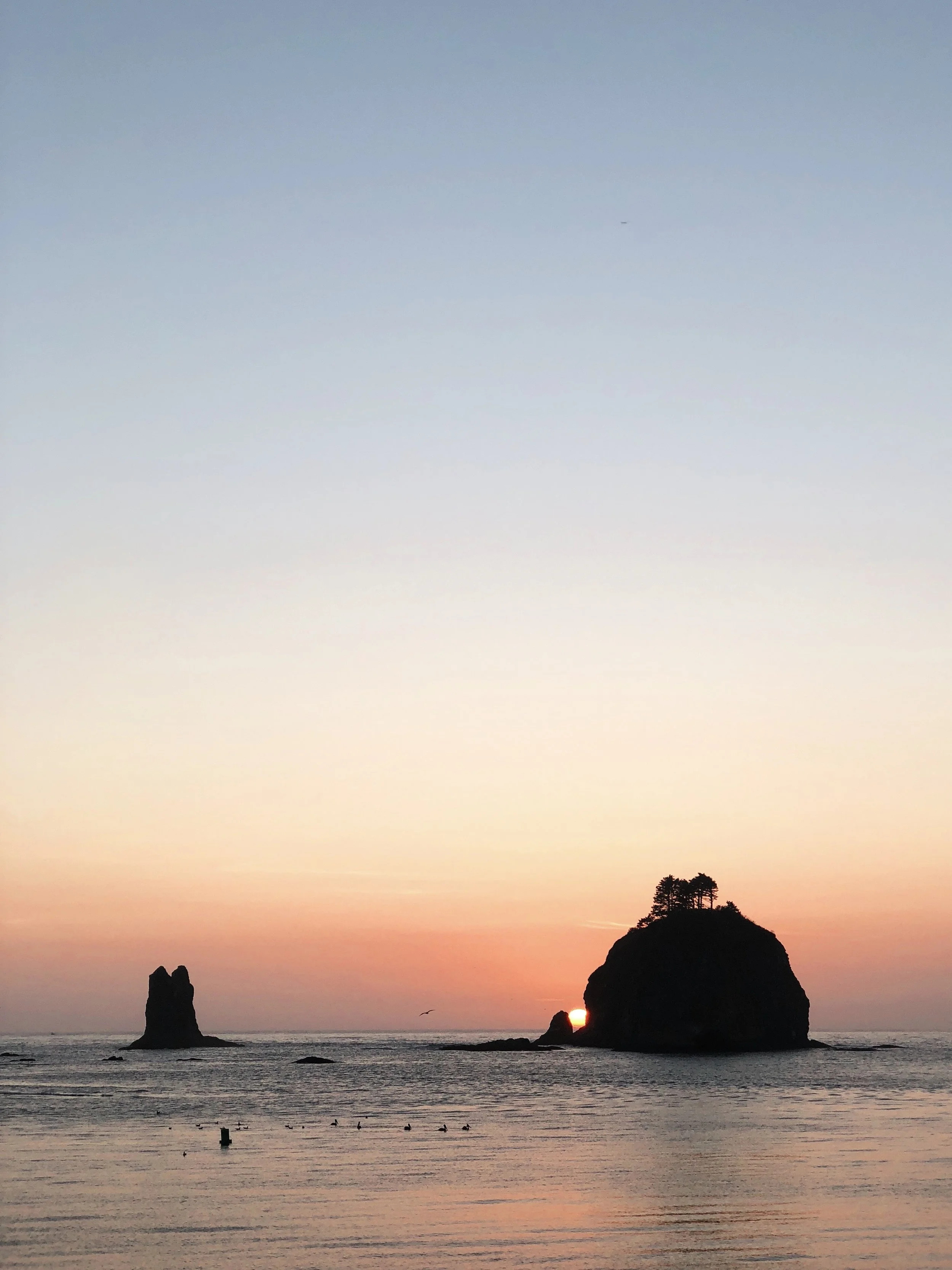 FullSizeRender 2.jpg