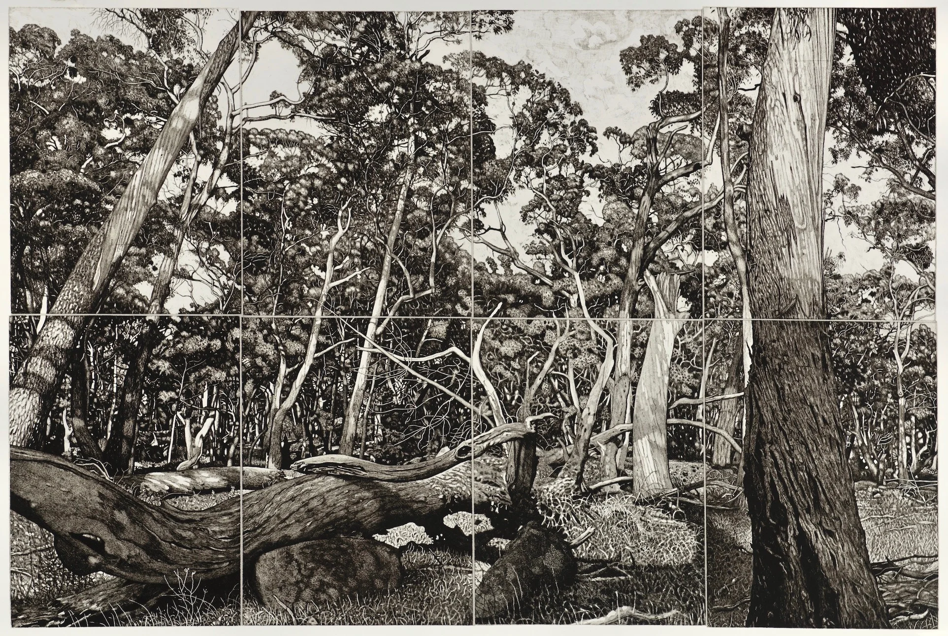 Highly Commended DAVID FRAZER AUSTRALIA Everybodys Talkin’ , monotype and lithograph Represented by Australian Galleries and Beaver Galleries ACT