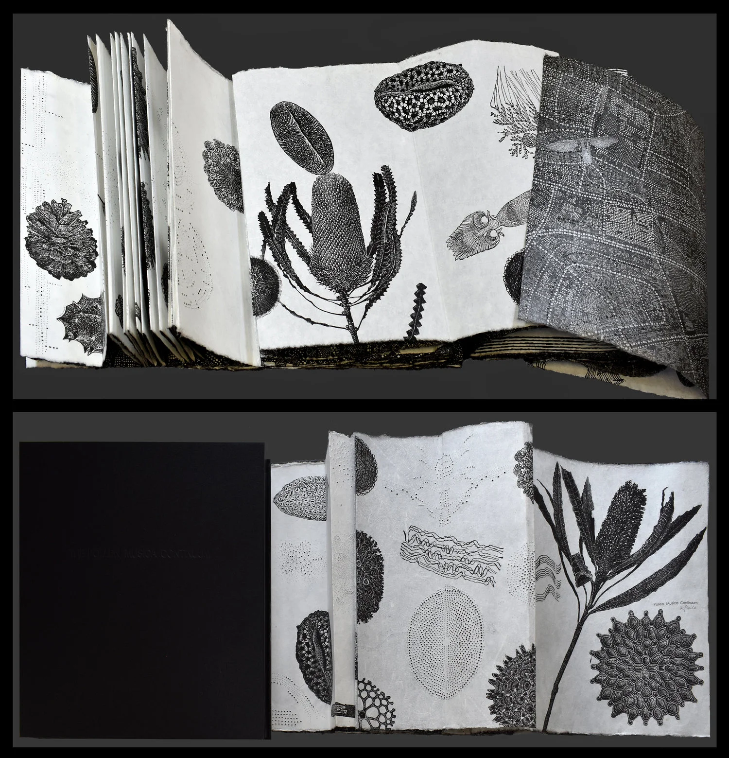Image: Pollen Musica Continuum - infinite completed, Dianne Fogwell, linocut, perforation - artists’book, completed 2018