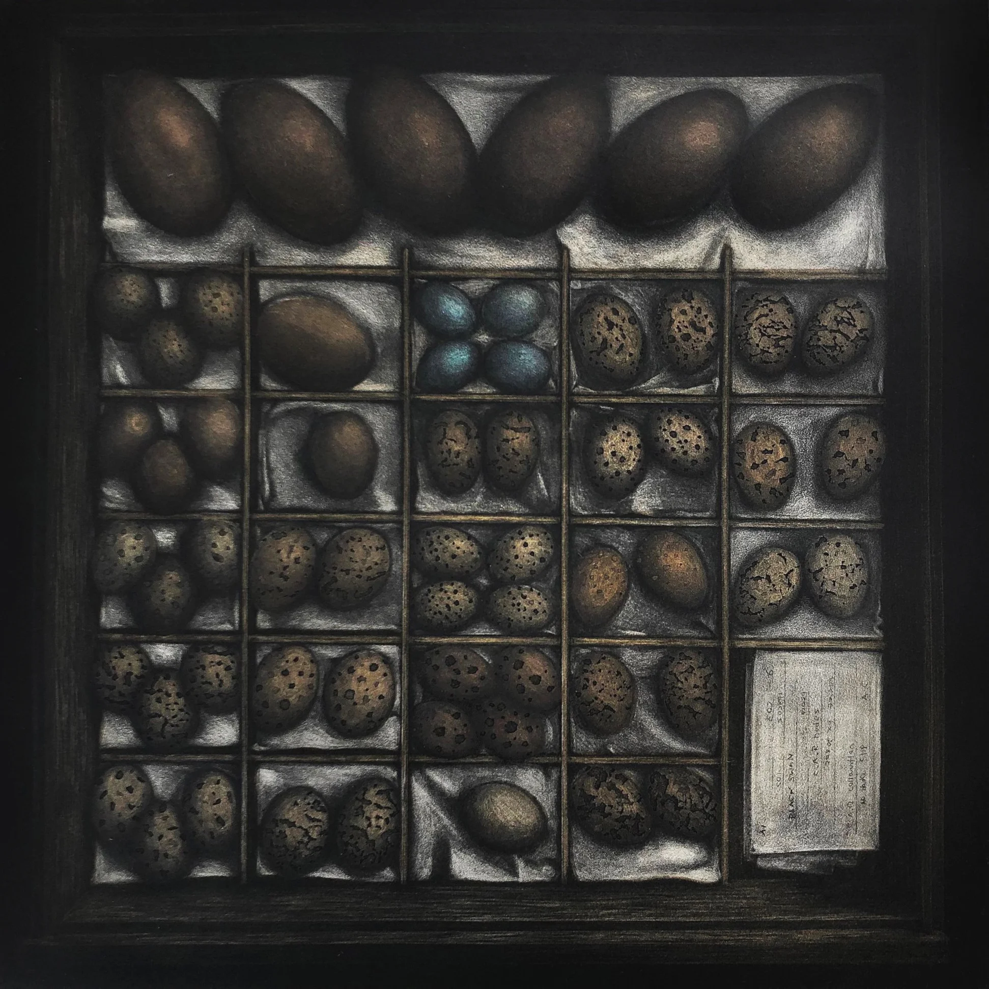Image: Collection Tray No.23 Angus Fisher, multi-plate intaglio etching, 2019