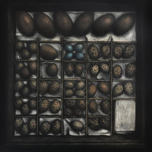 Angus Fisher, Collection Tray No.23 multi-plate intaglio etching, 2019