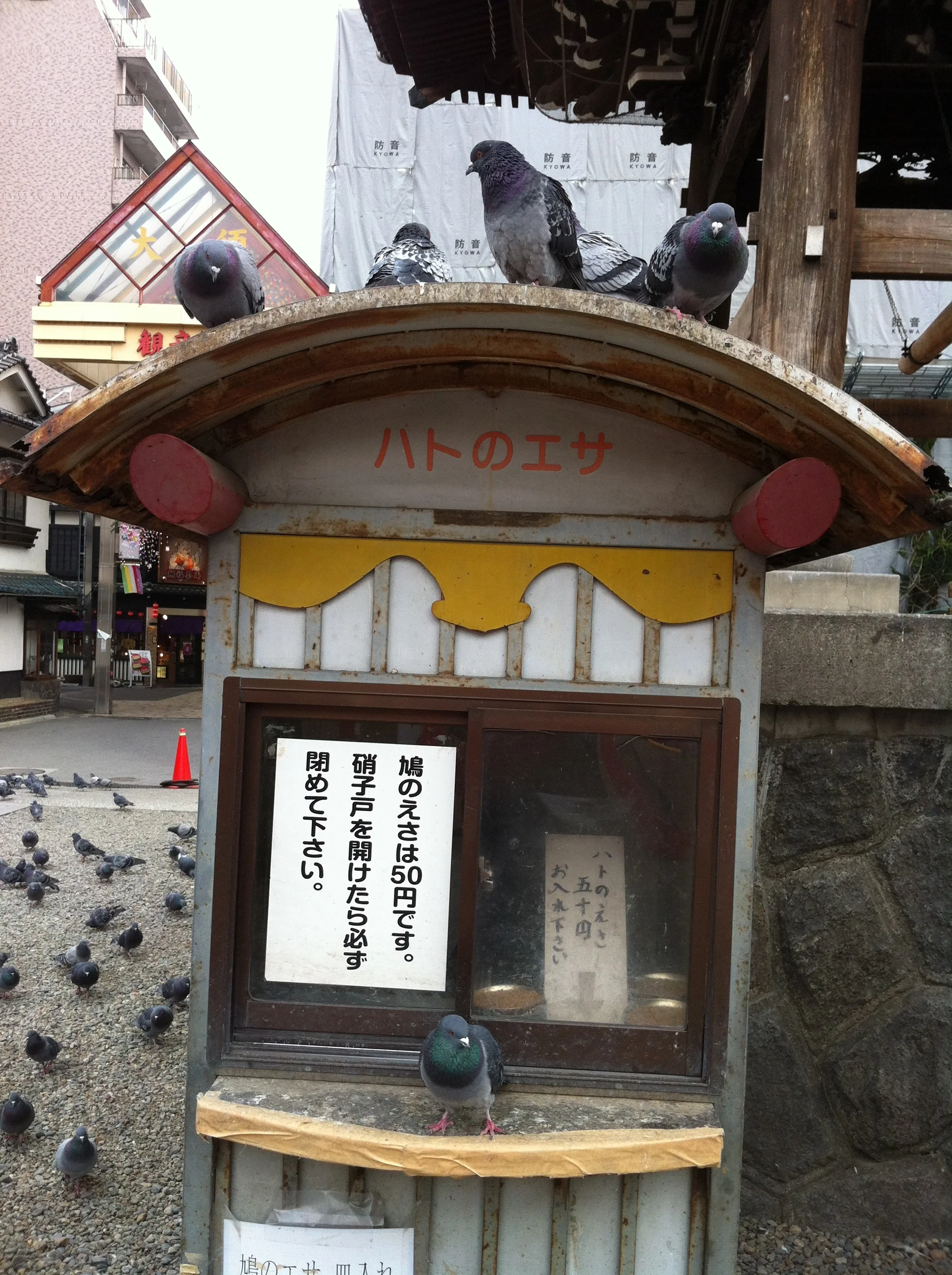 IMG_2675.jpg