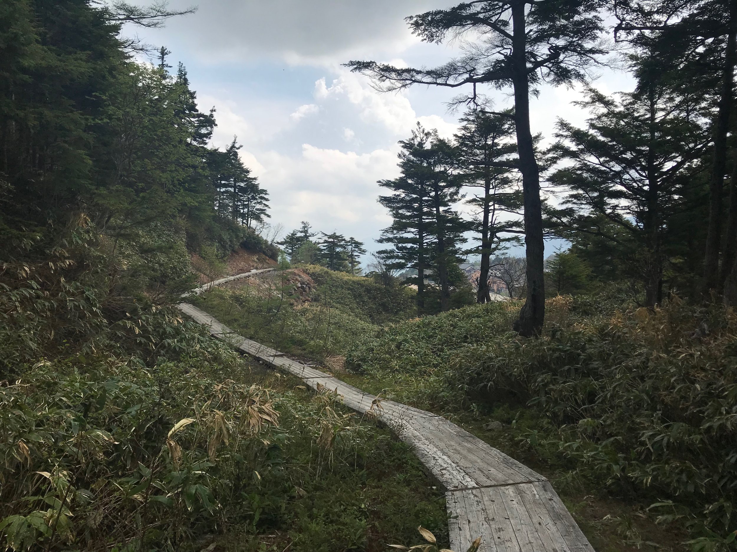A hiking path leading away from the water field.