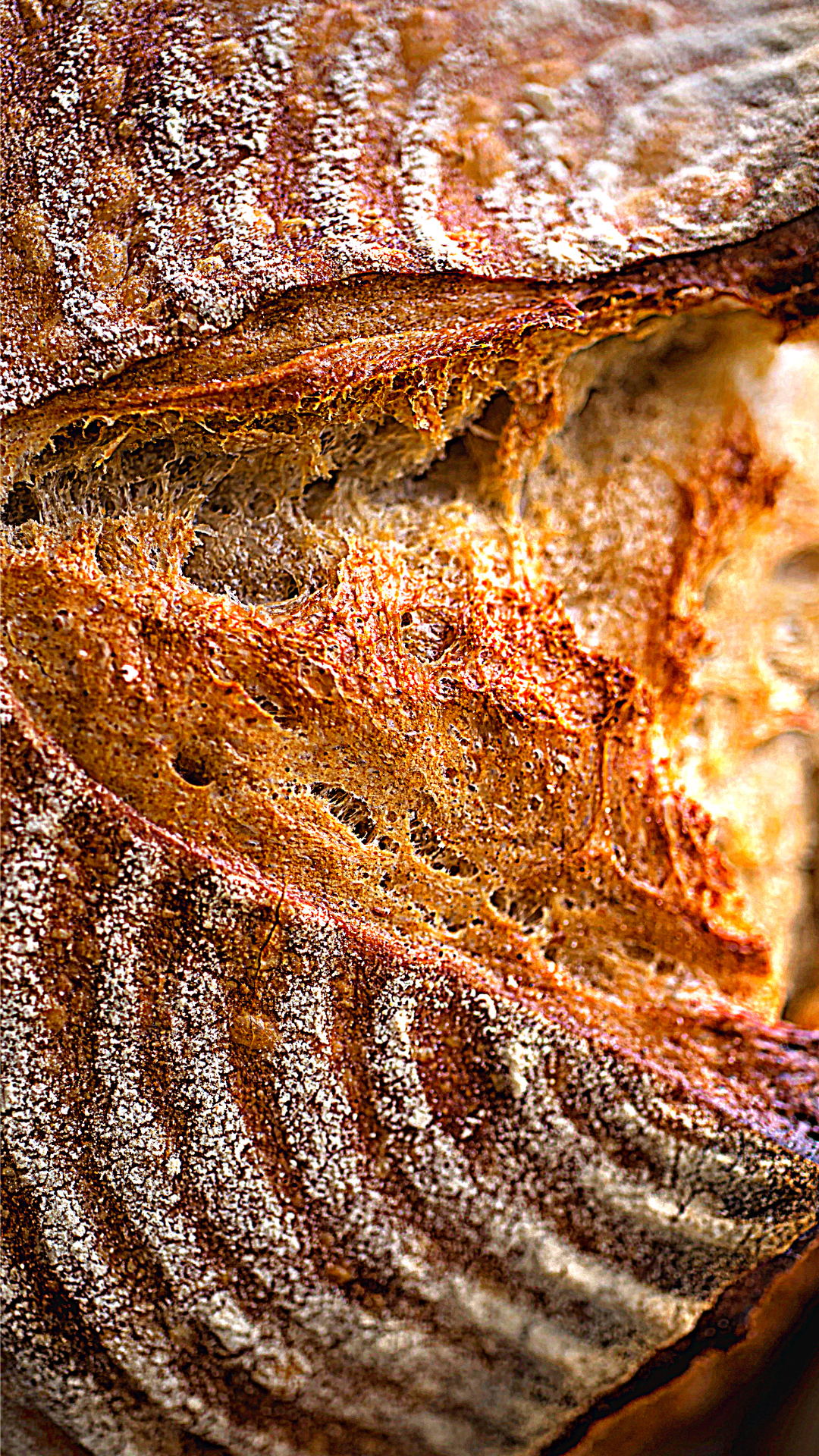 Bake for Beirut Workshops