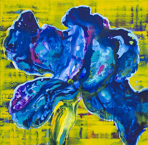 IRIS