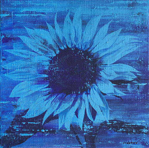 Sunflower in the moonlight