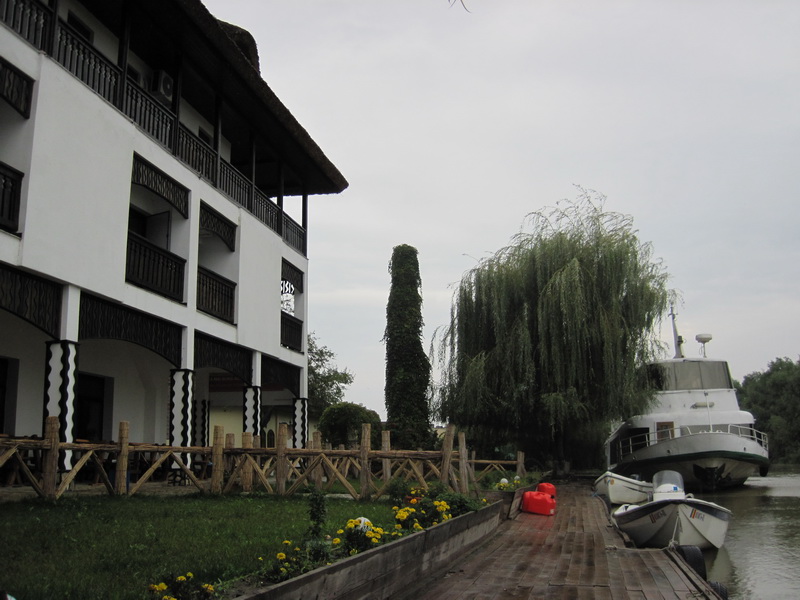 d57.jpg