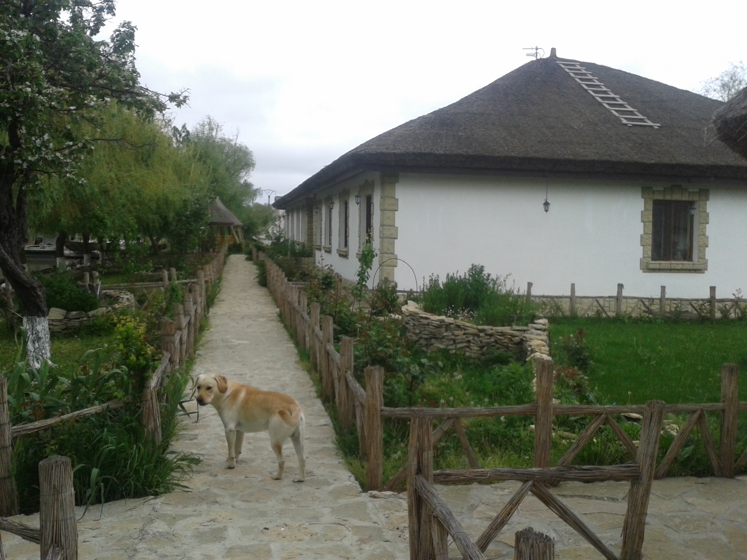 20140428_183240.jpg