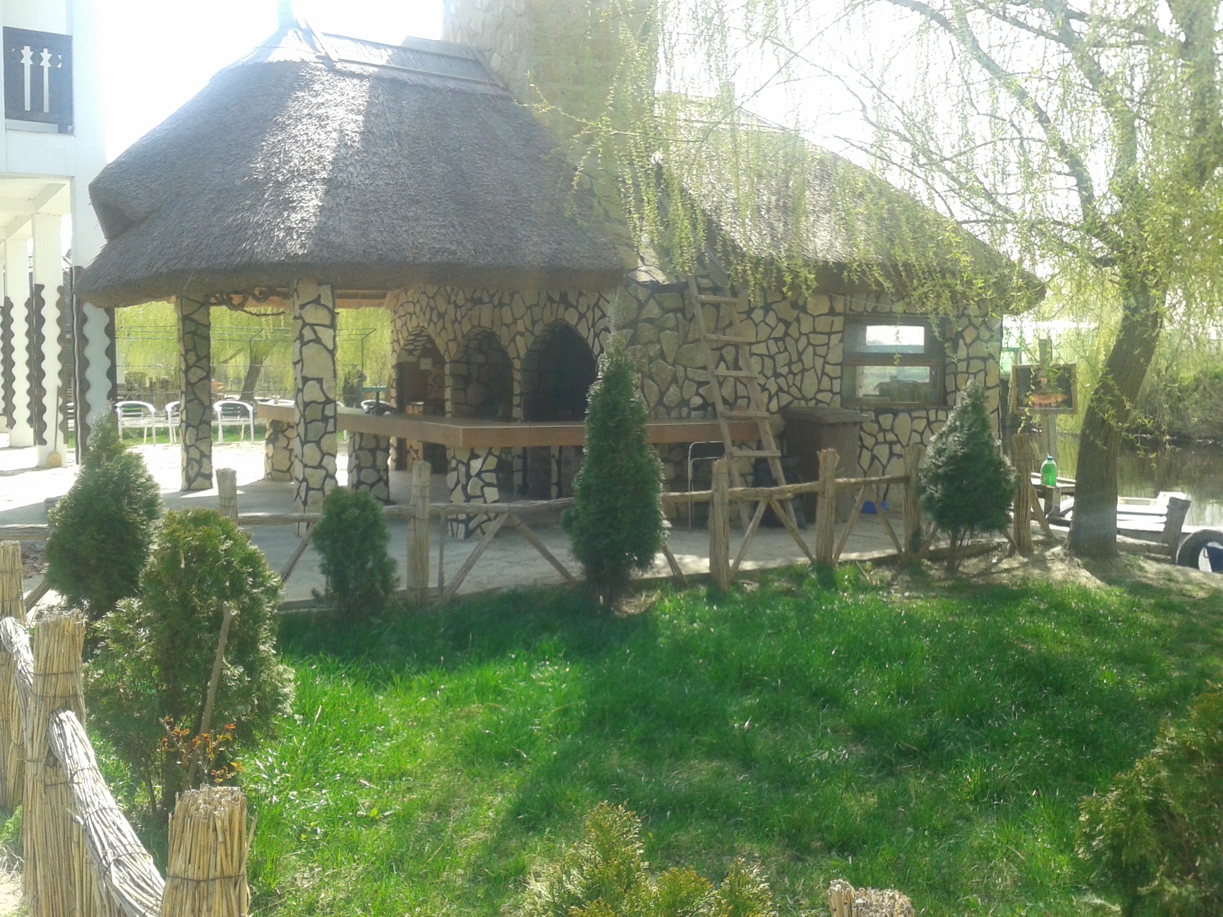 20140328_120224.jpg