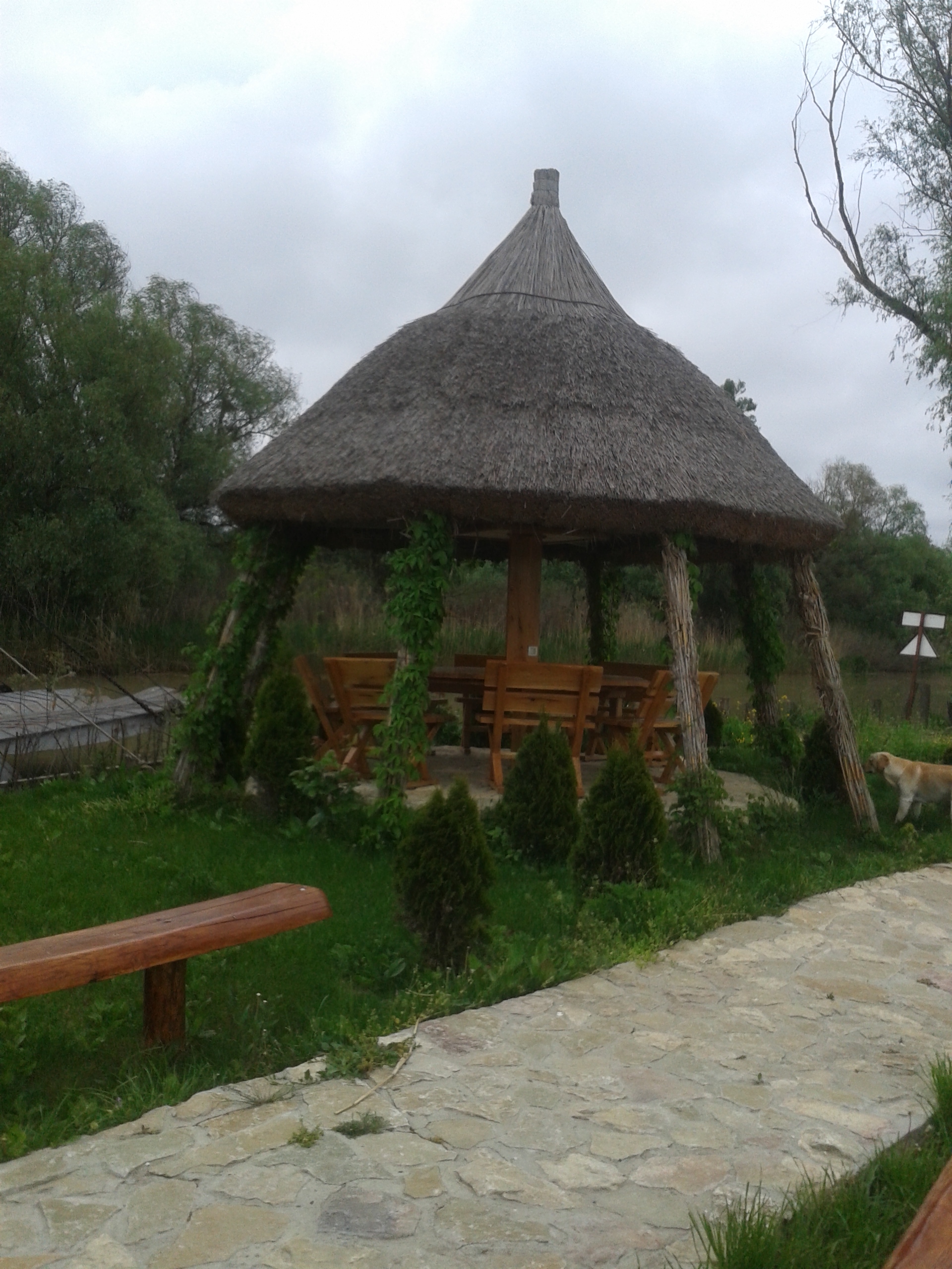 20140428_183611.jpg
