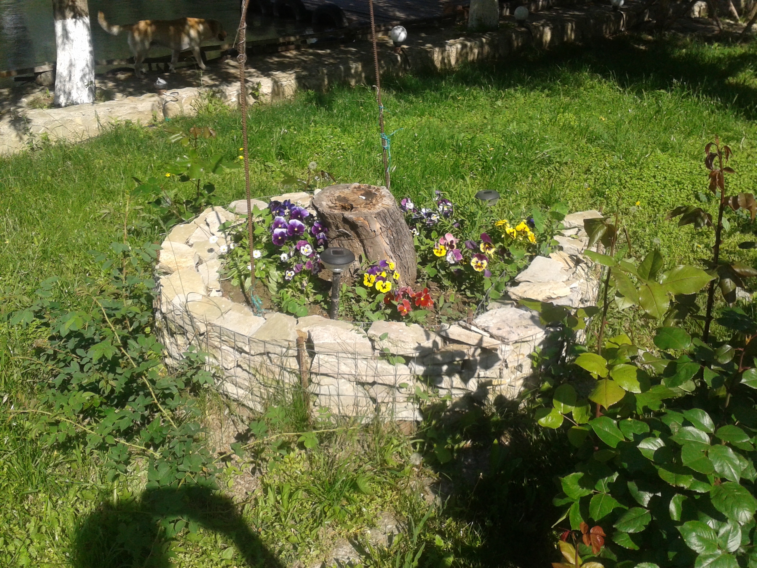 20140511_160159.jpg
