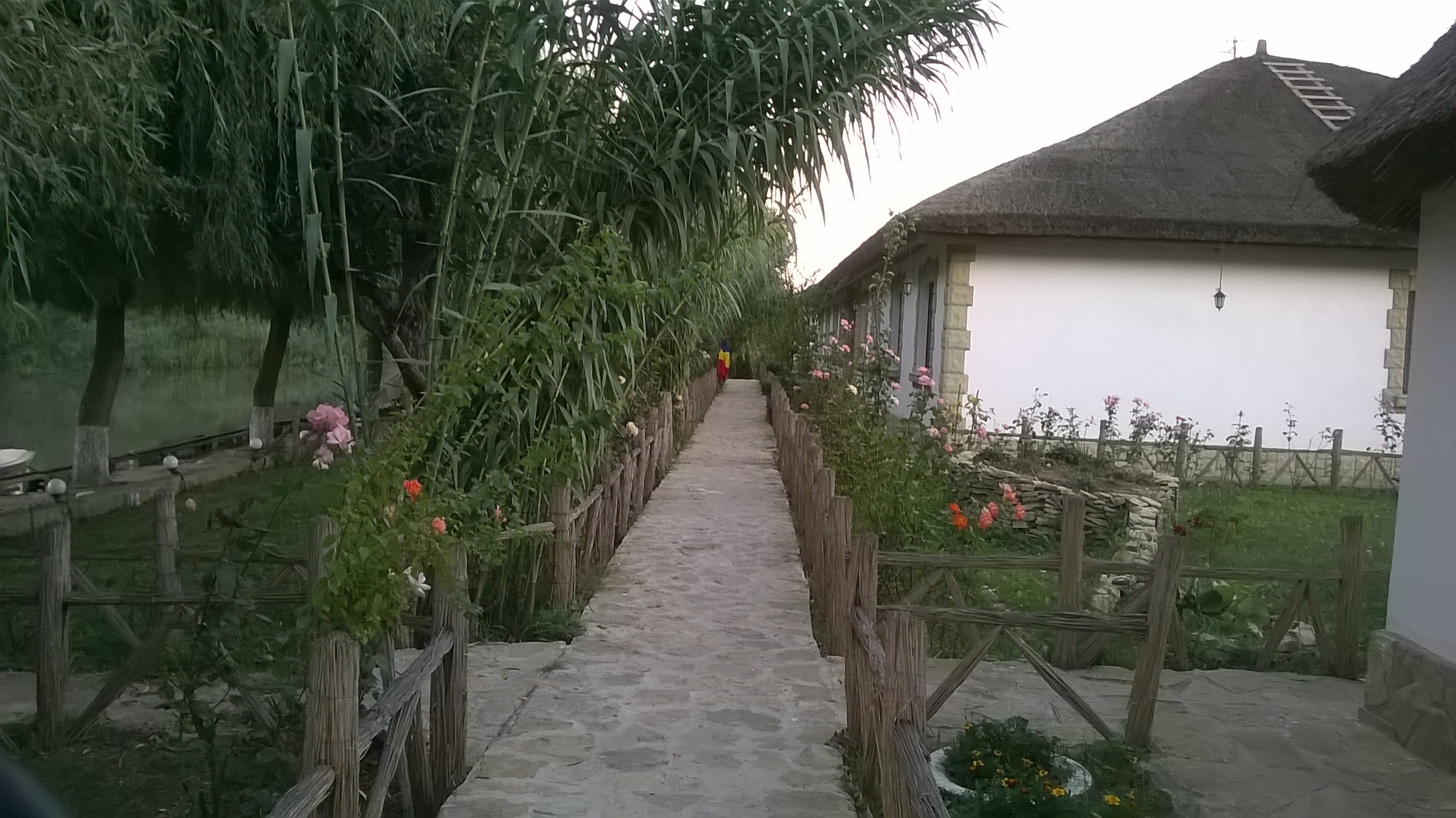 WP_20140913_038.jpg