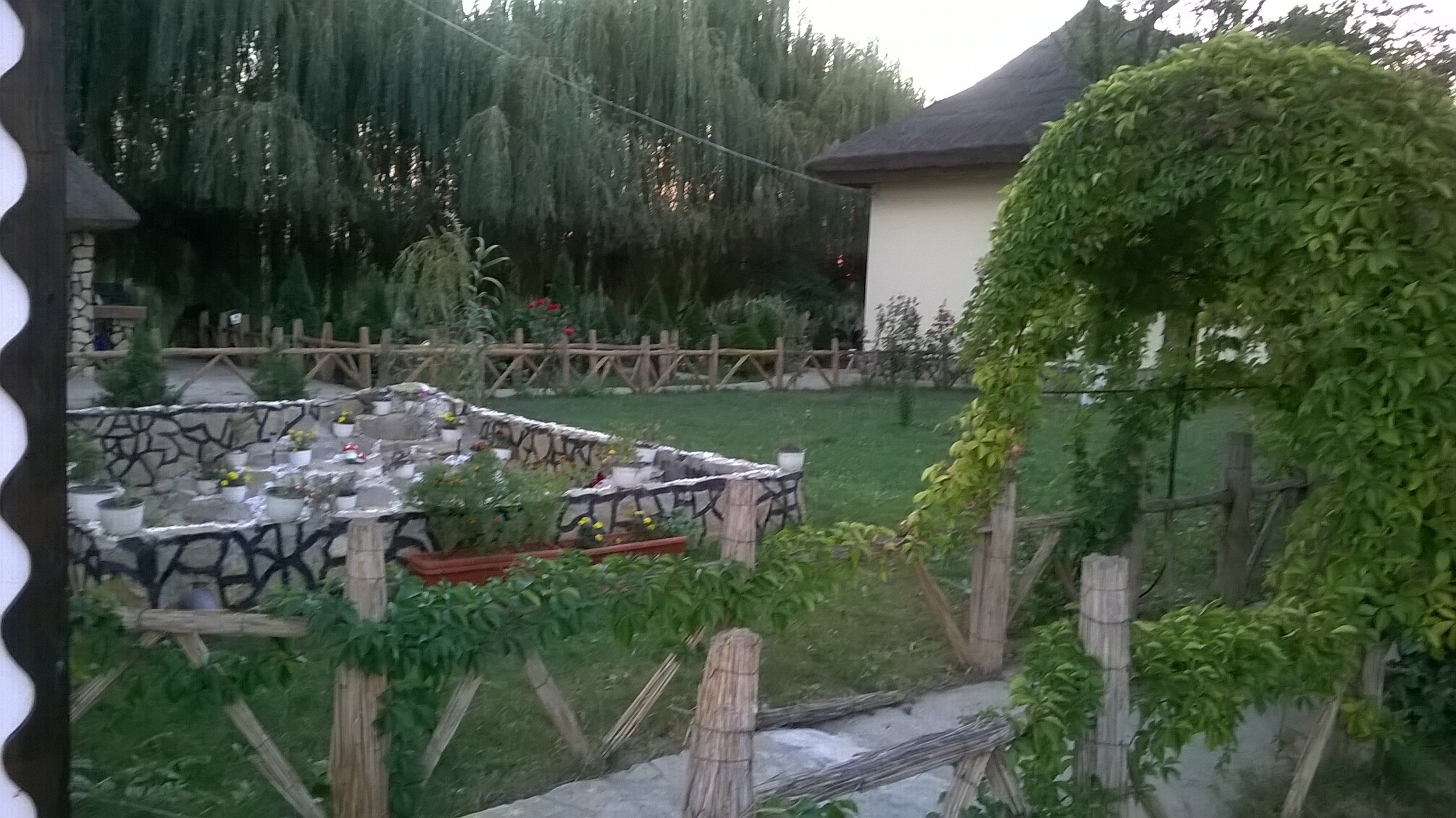 WP_20140913_041.jpg