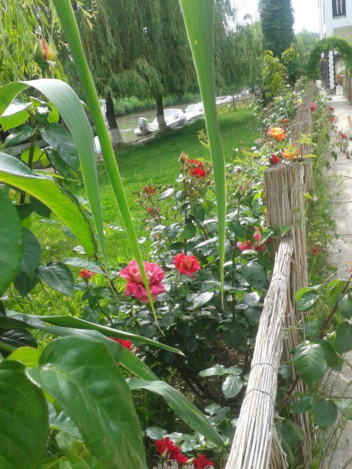 20140521_095750.jpg