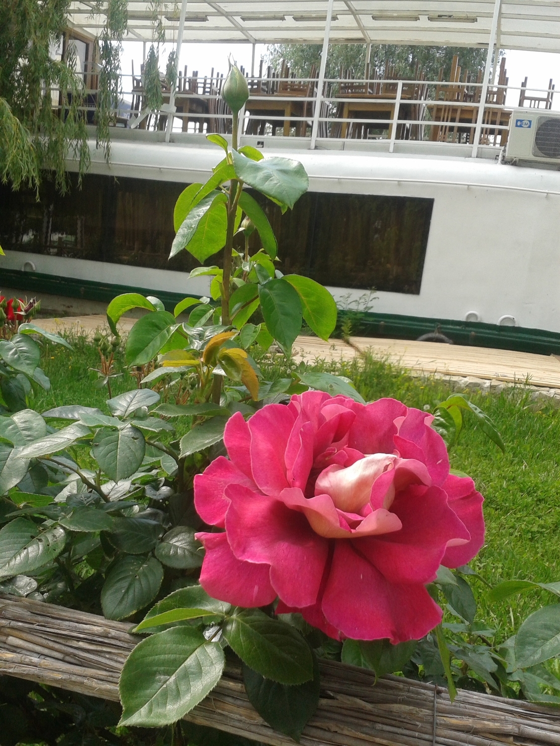 20140521_095814.jpg