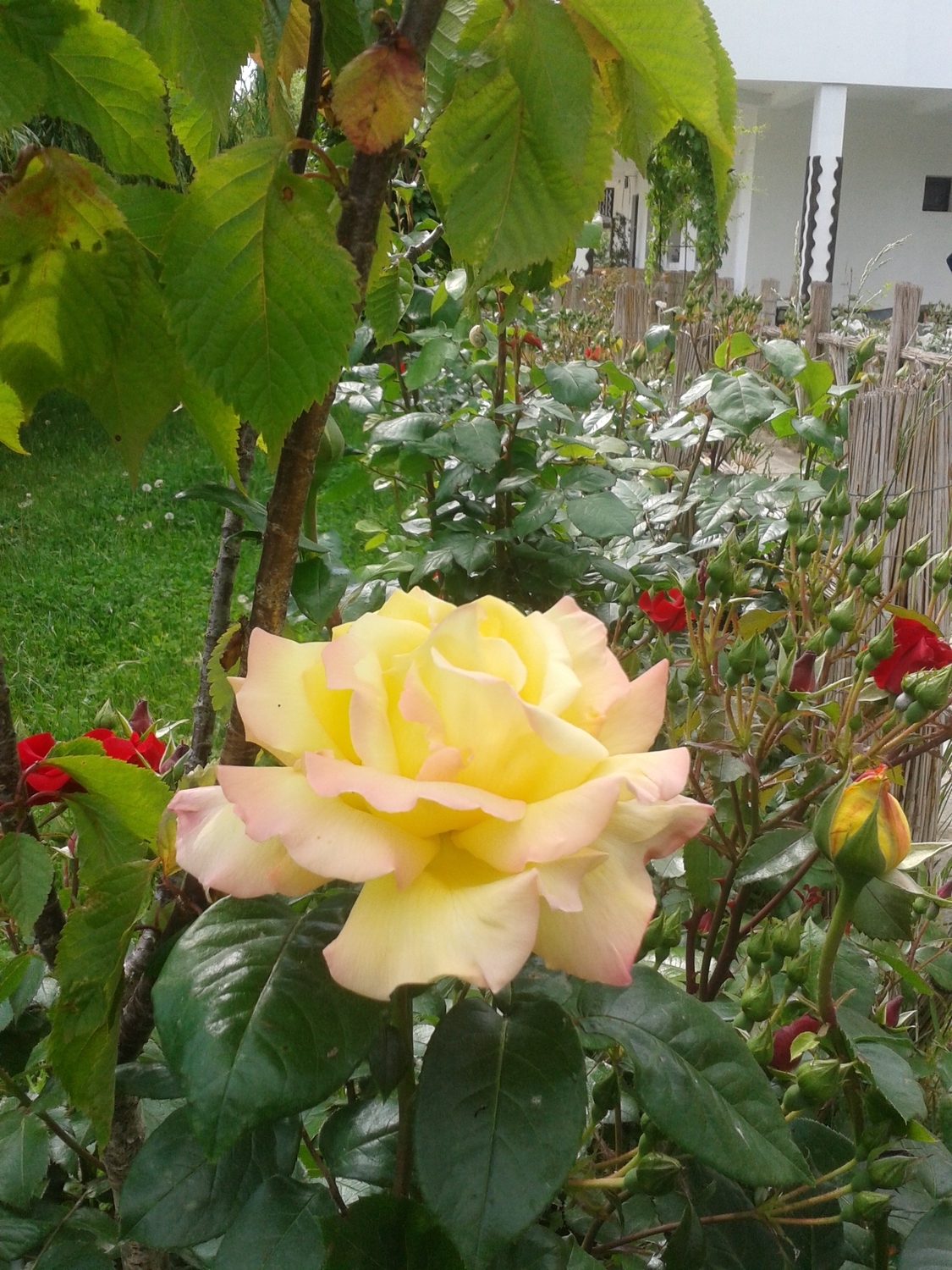 20140521_095823.jpg