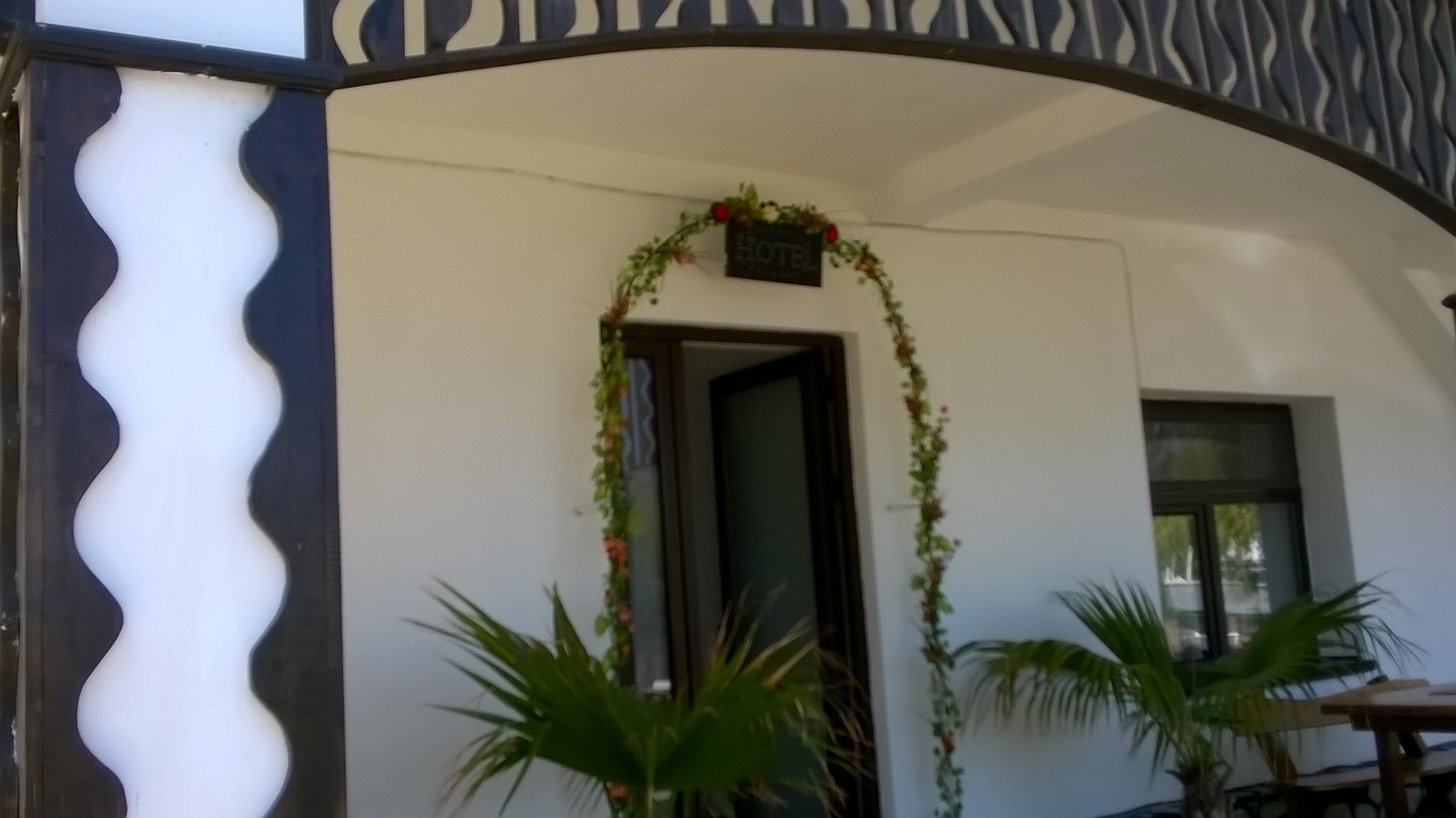WP_20150515_007 - Copy.jpg
