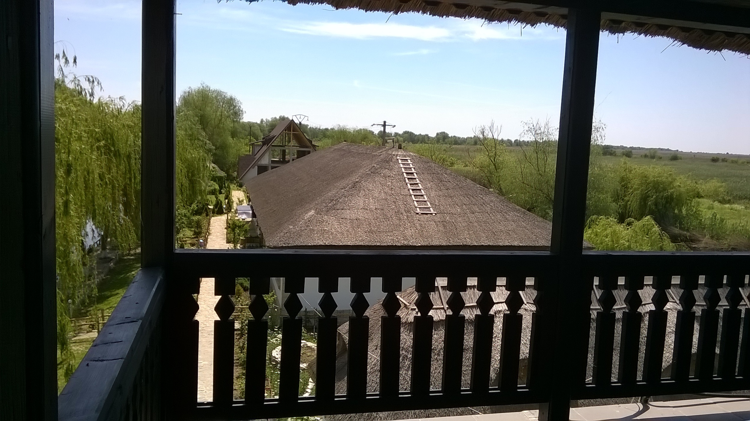 WP_20150515_058.jpg
