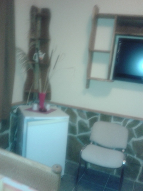 20130327_141156.jpg