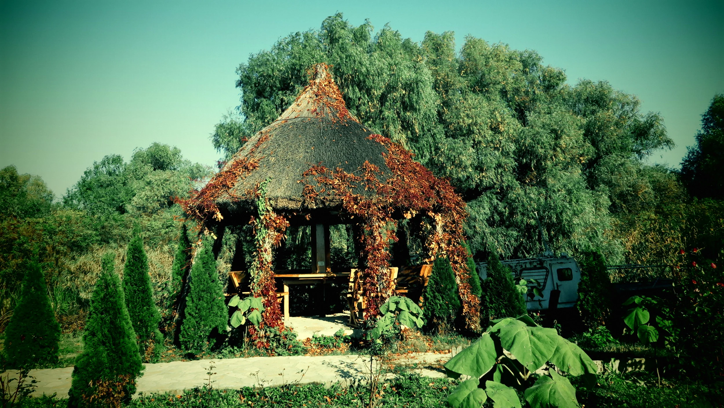 Foișor Pensiunea Delta Paradis