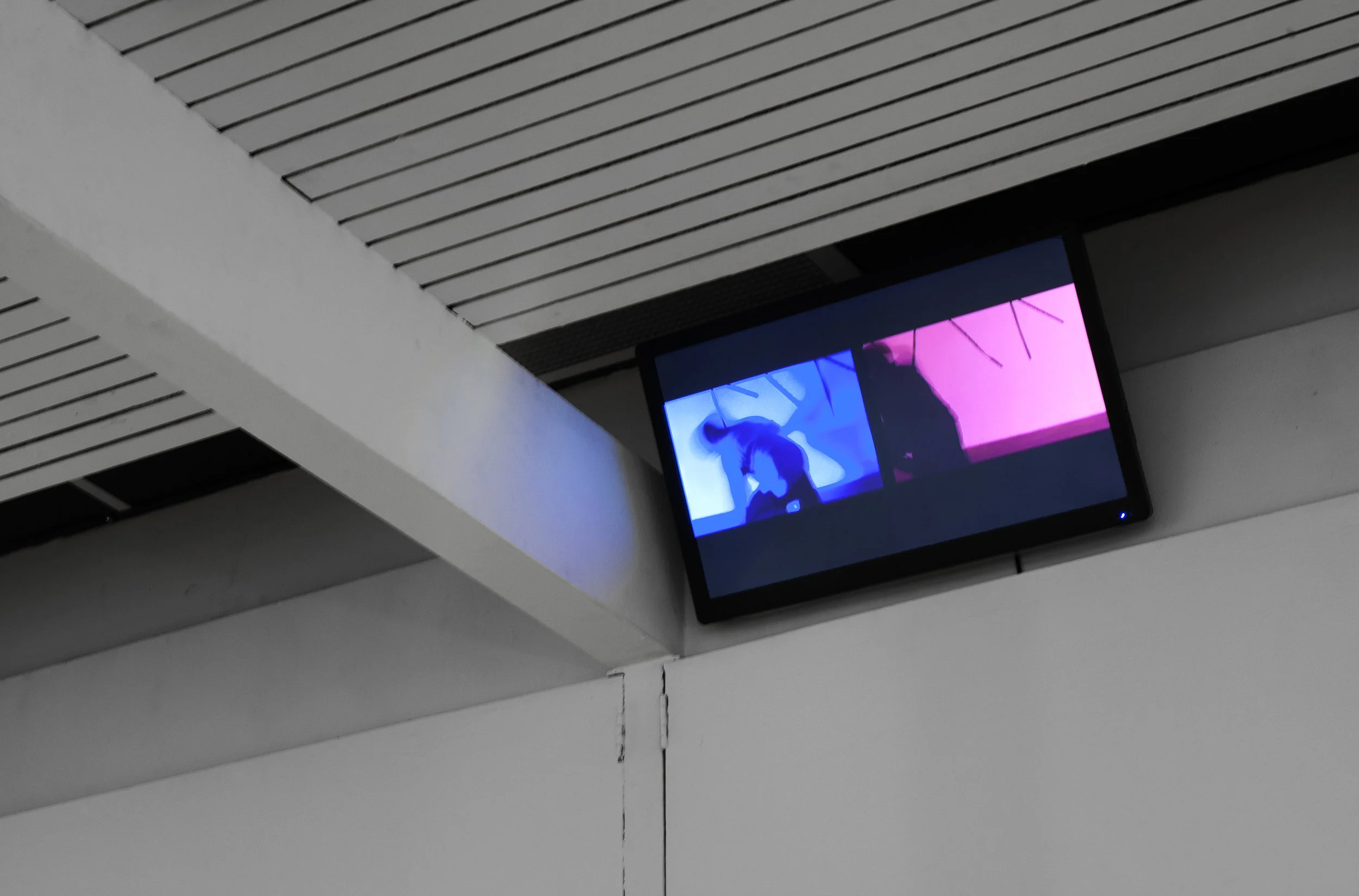 DV03.jpg