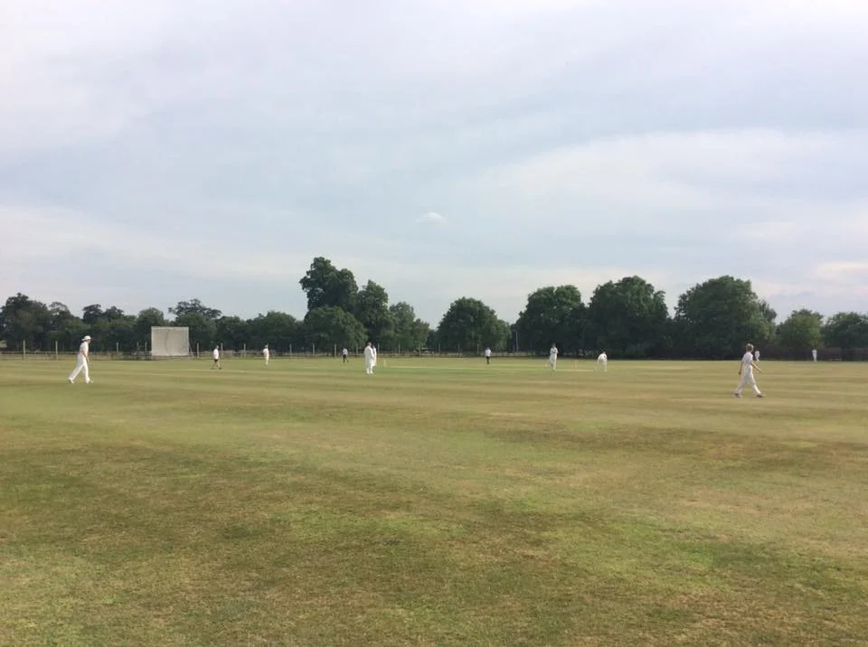 Anyone for Cricket!