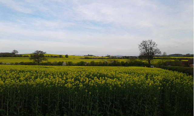 Read the latest copy of the Alscot Eye